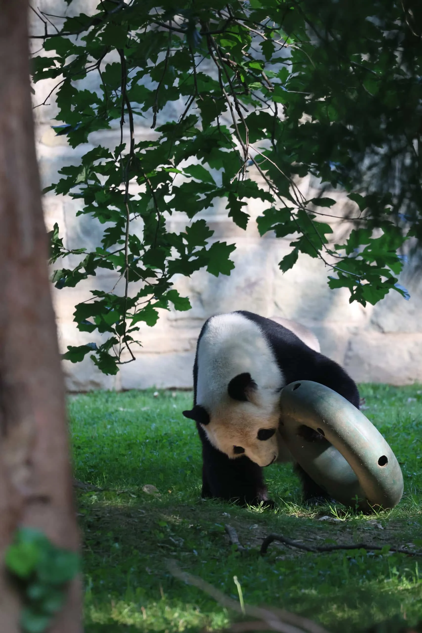 Smithsonian's National Zoo