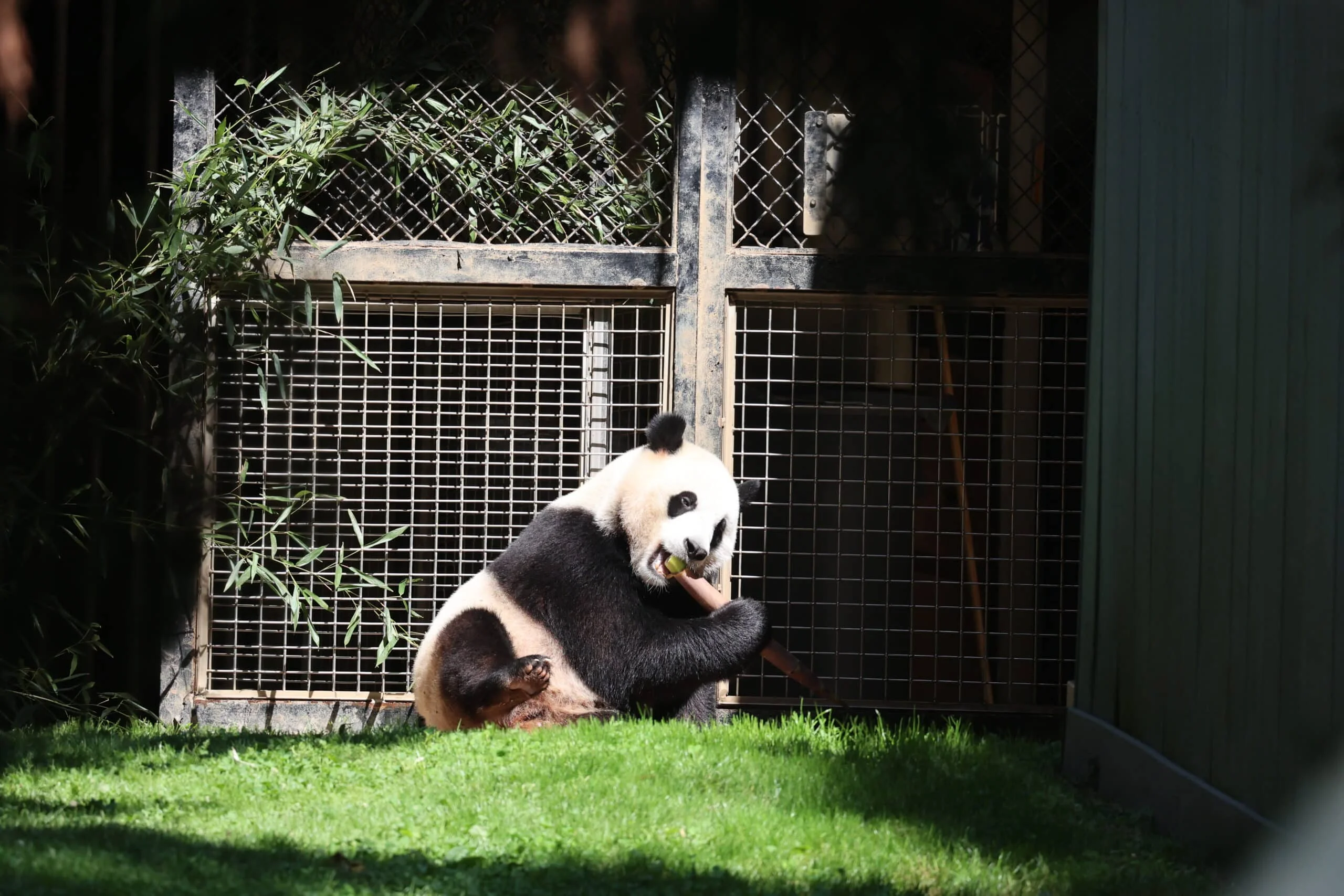 Smithsonian's National Zoo