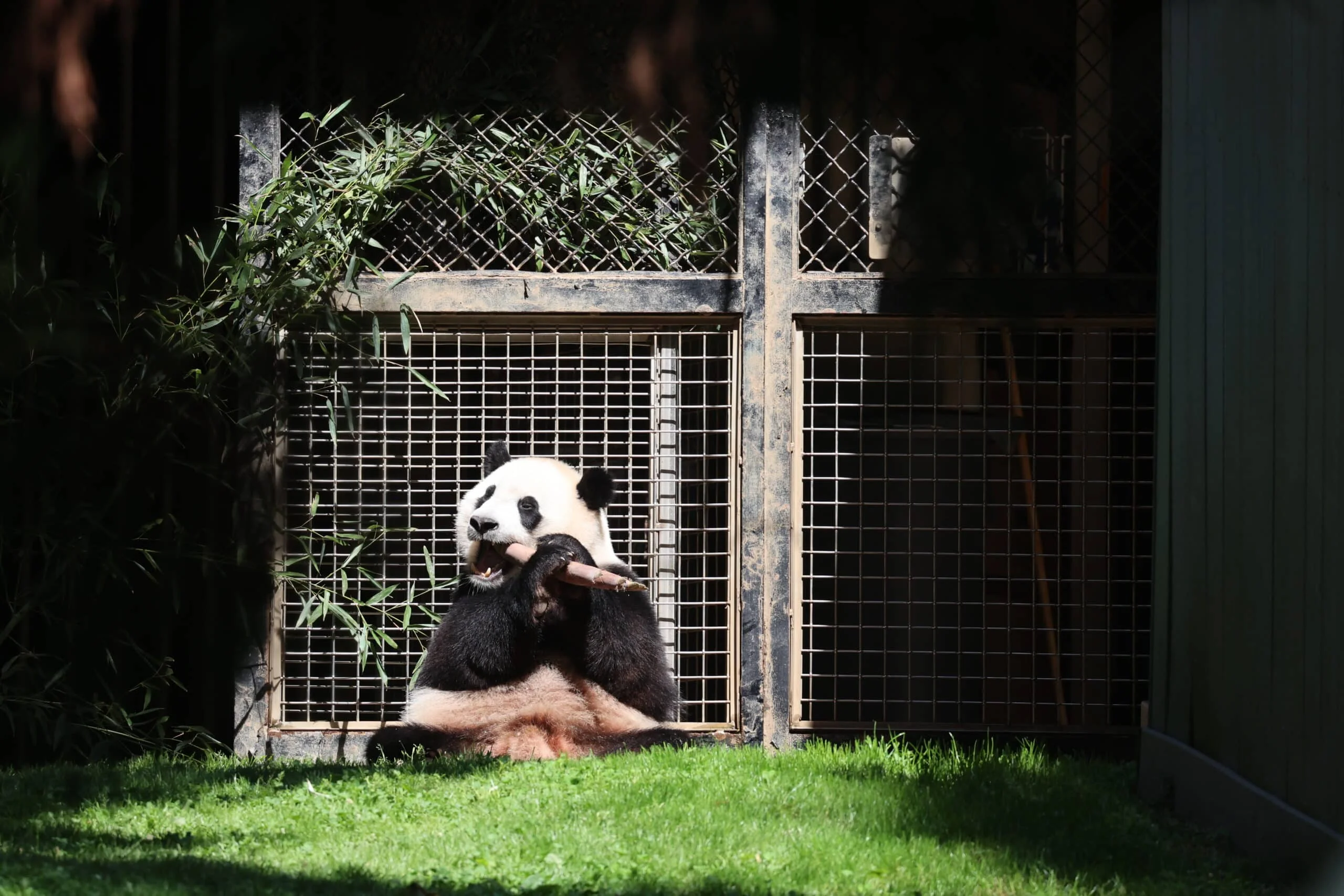 Smithsonian's National Zoo