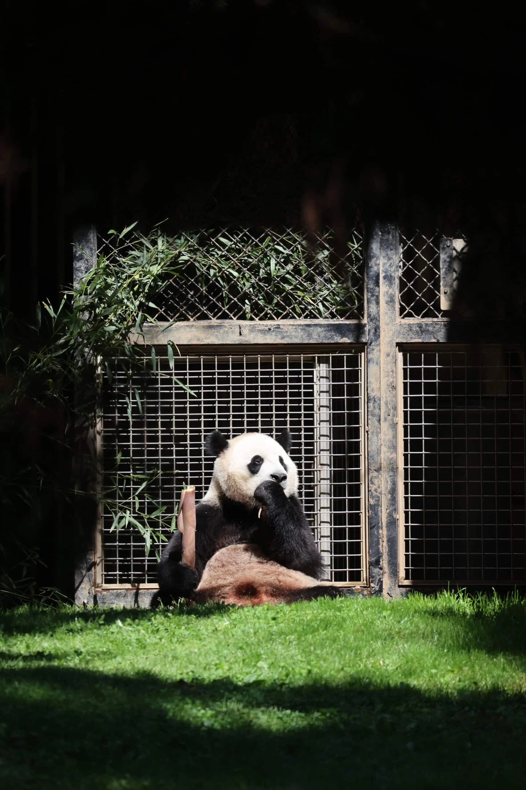 Smithsonian's National Zoo