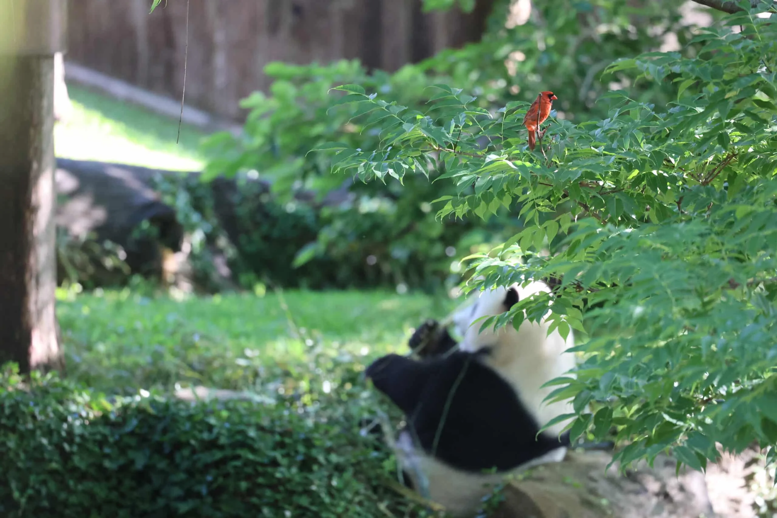 Smithsonian's National Zoo