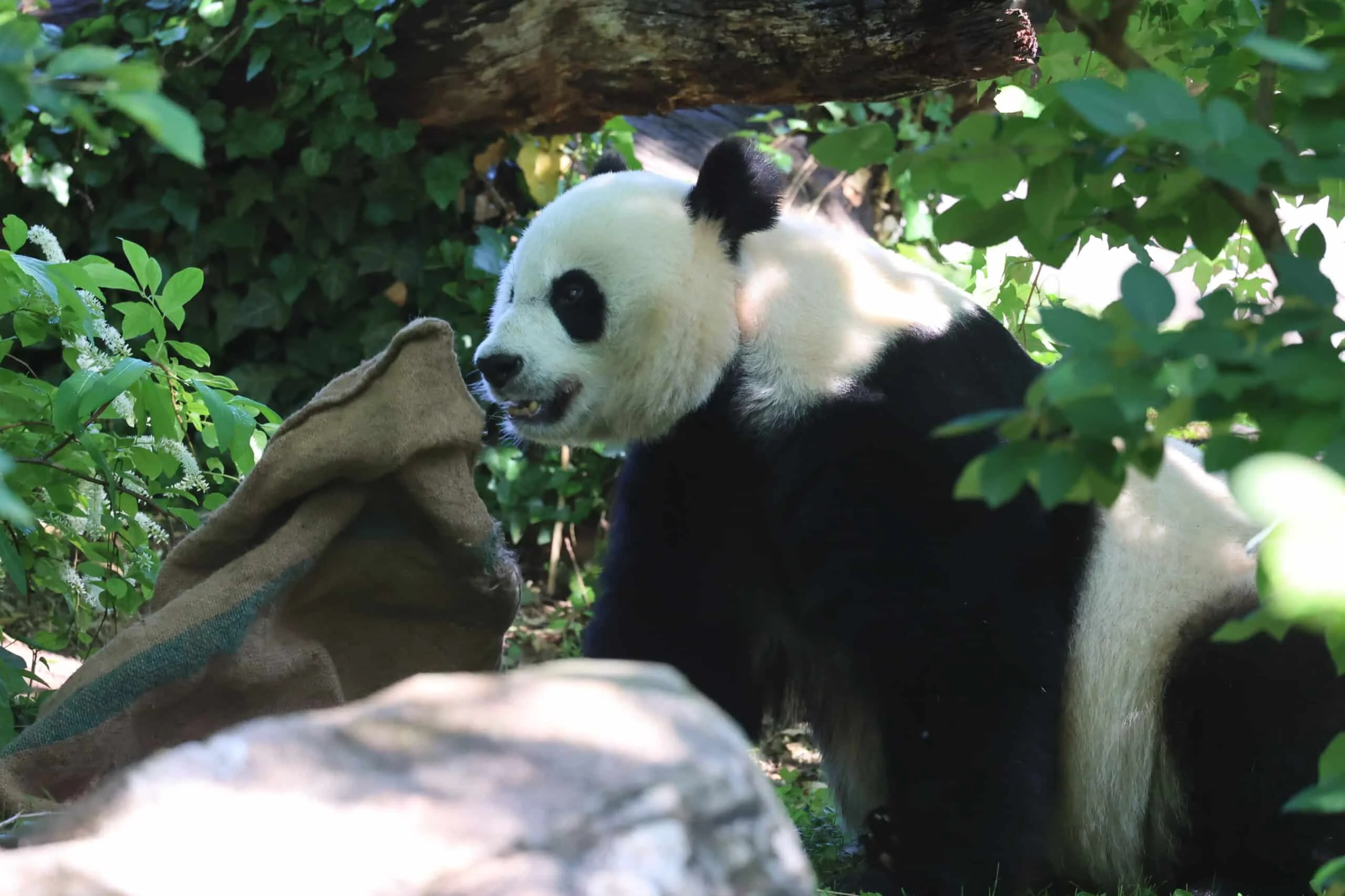 Smithsonian's National Zoo