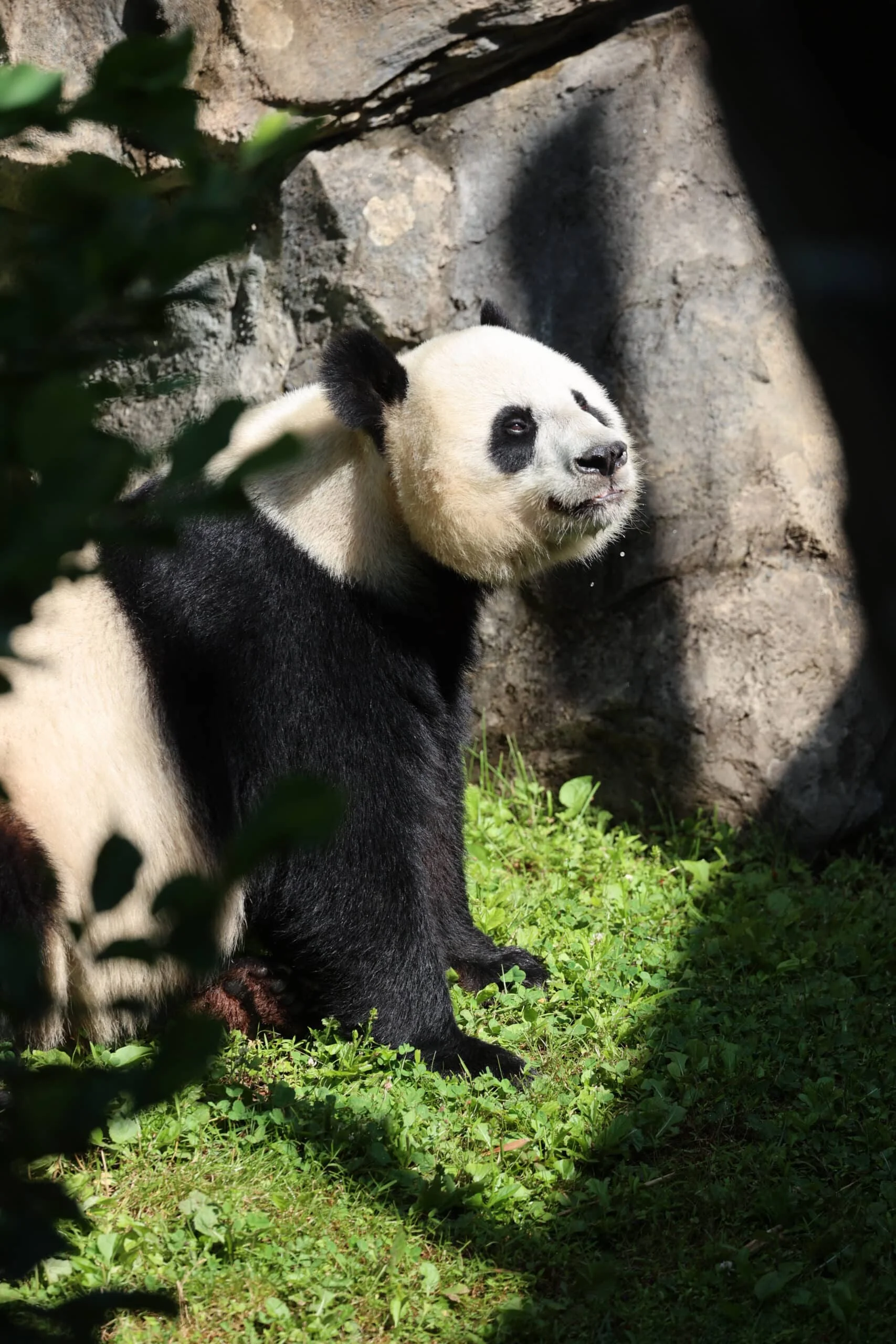 Smithsonian's National Zoo