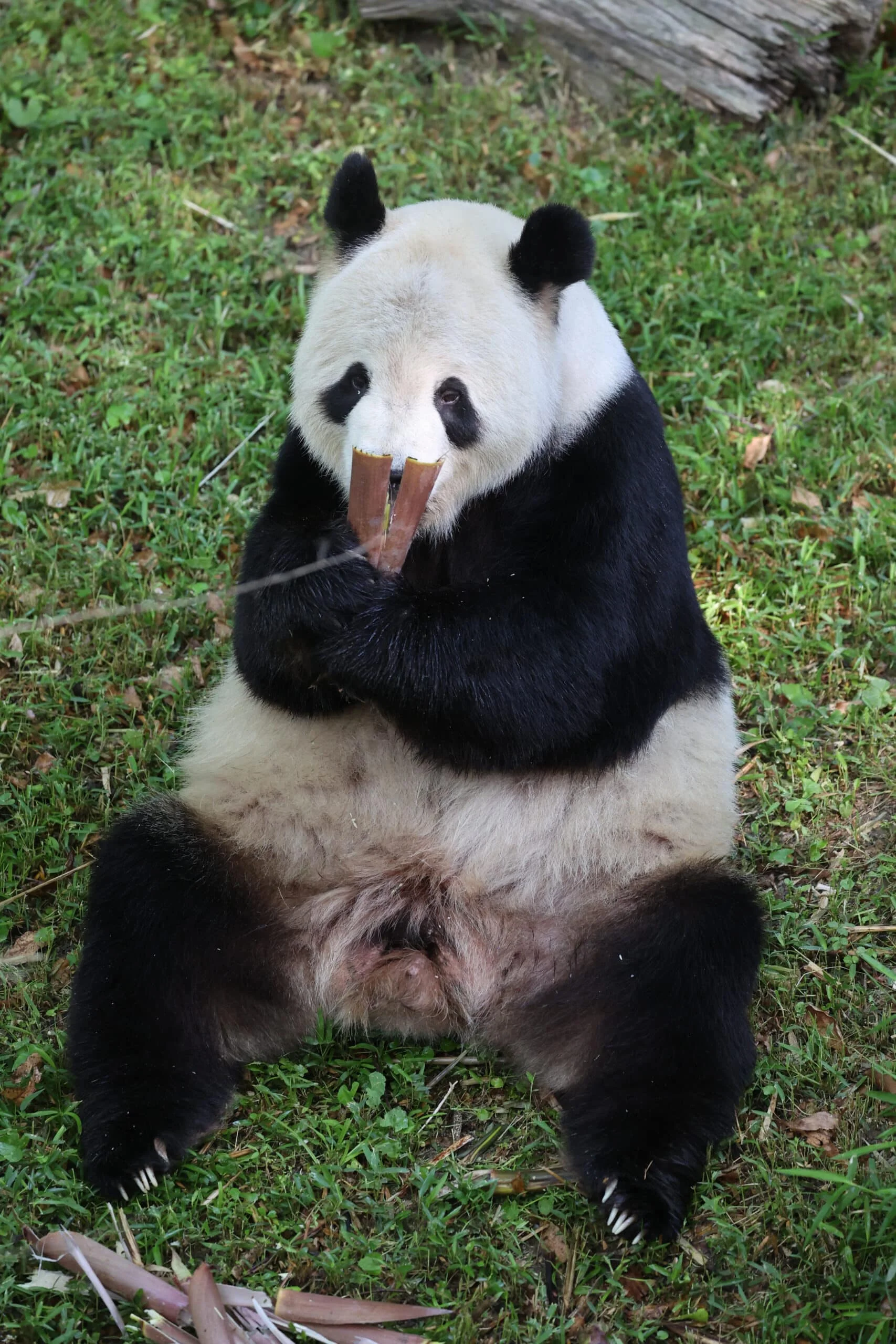 Smithsonian's National Zoo