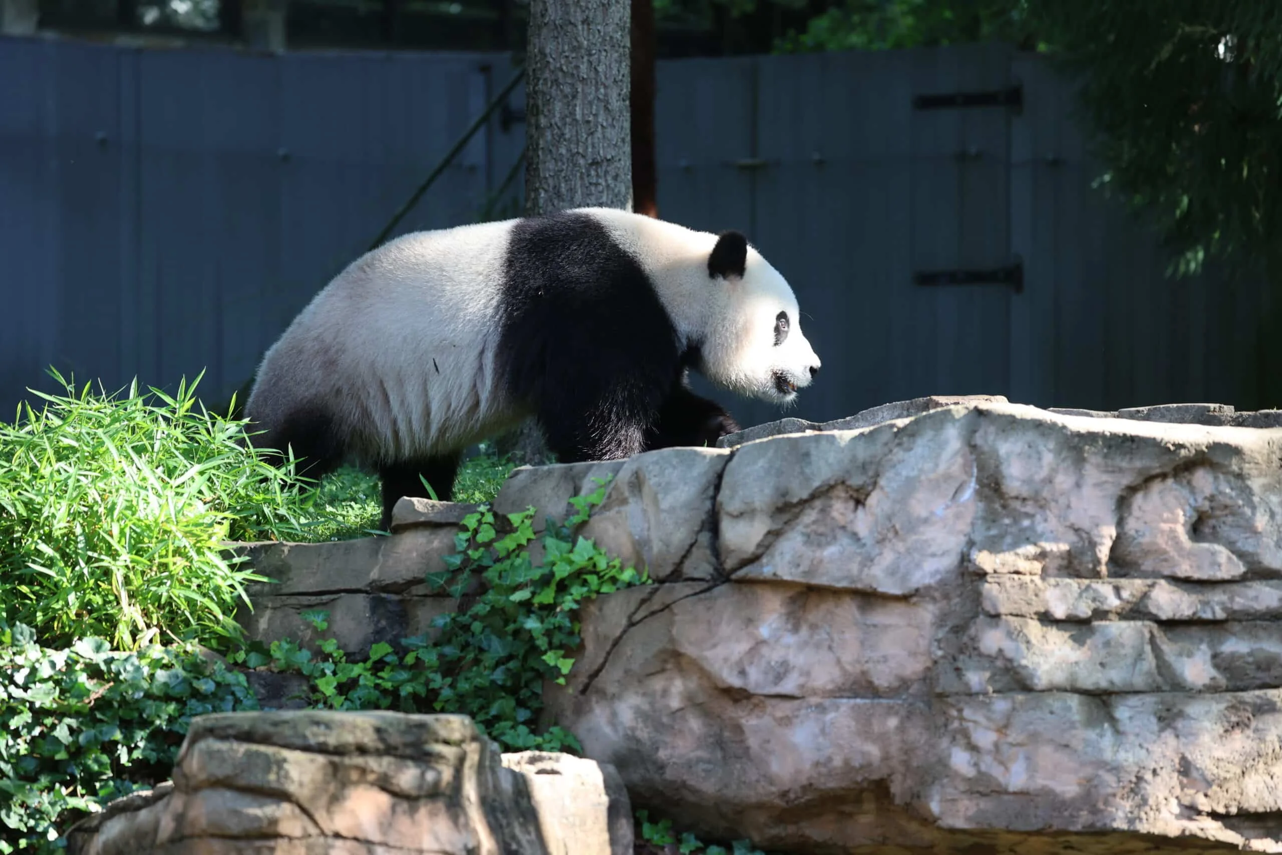 Smithsonian's National Zoo