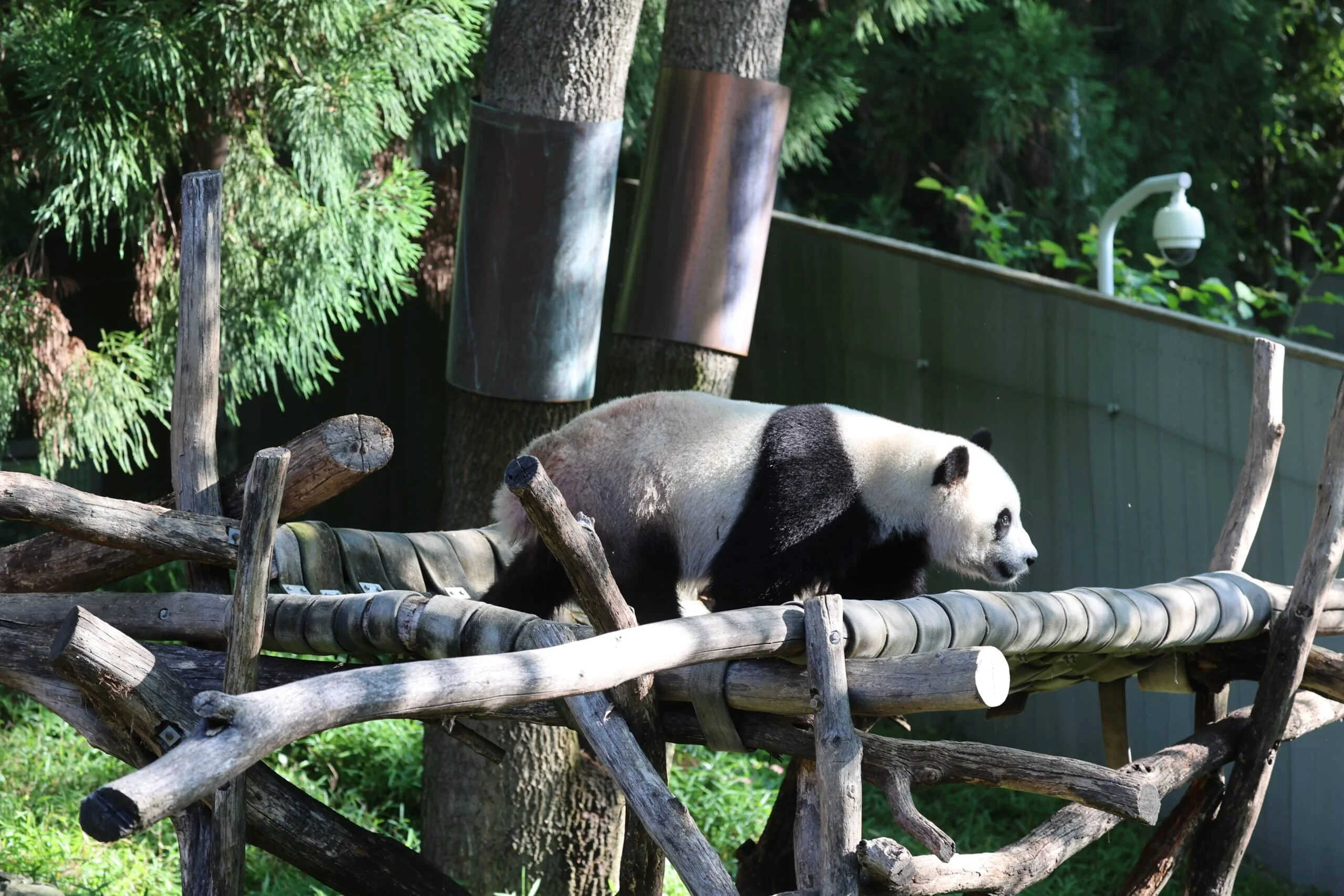 Smithsonian's National Zoo
