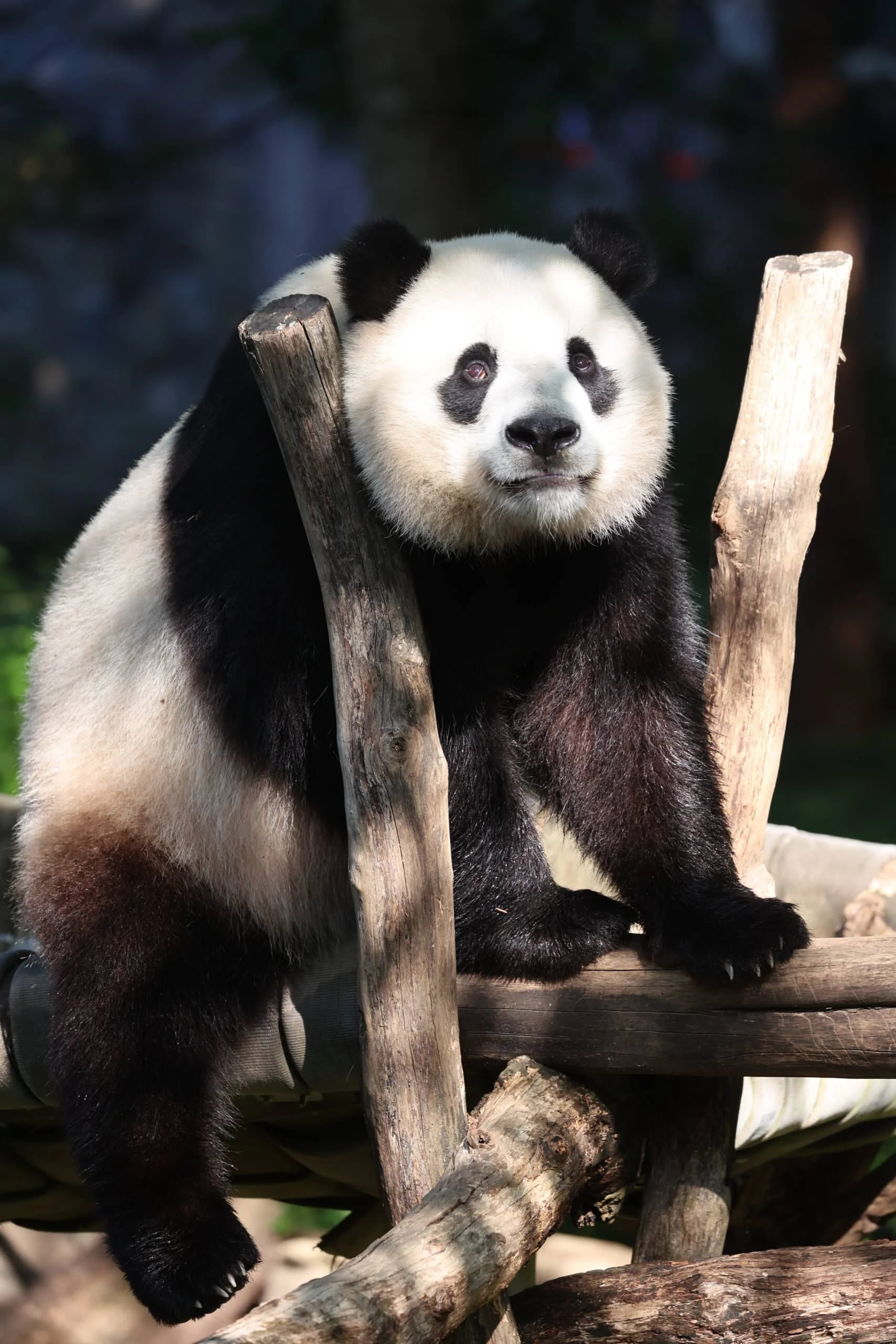 Smithsonian's National Zoo