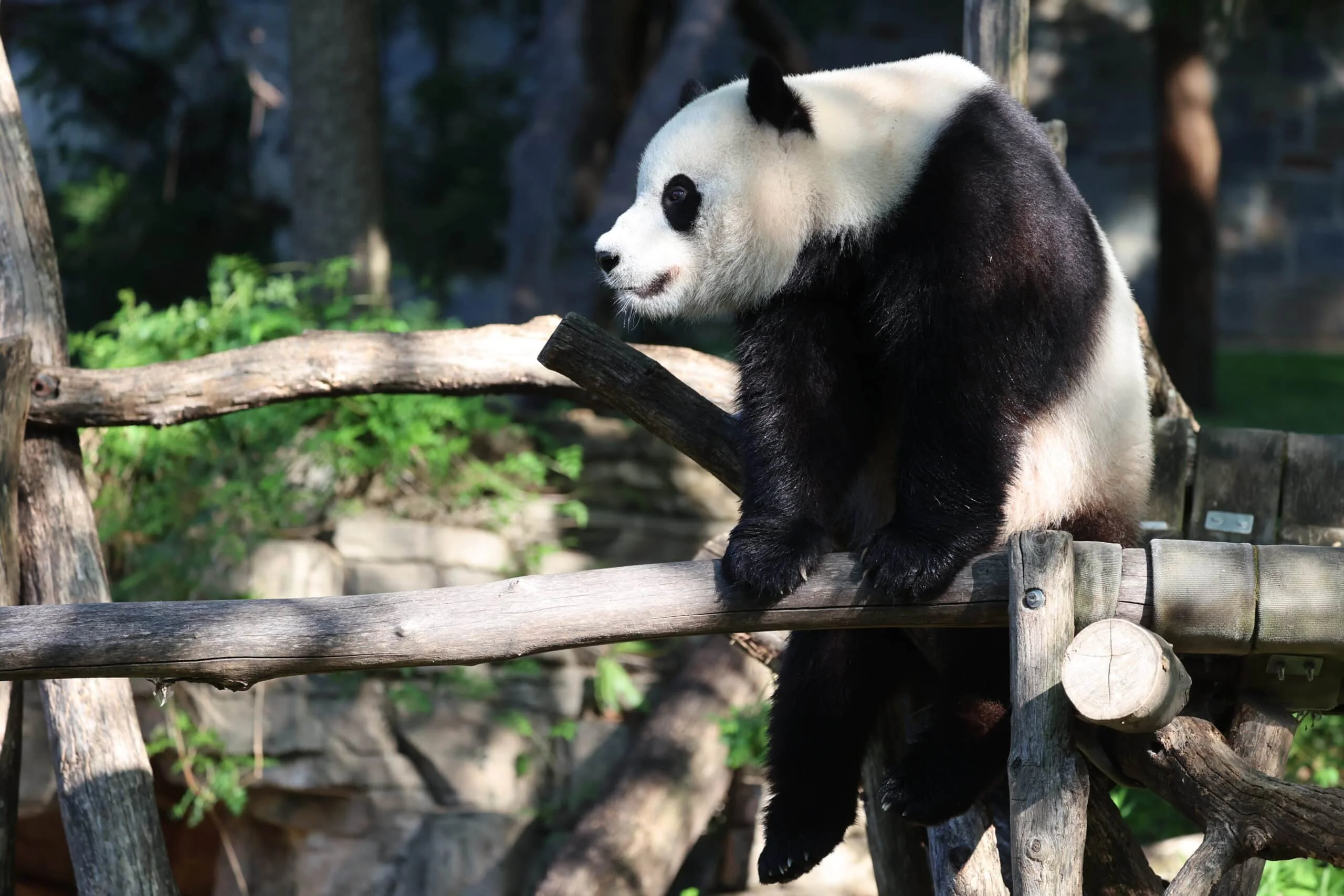 Smithsonian's National Zoo
