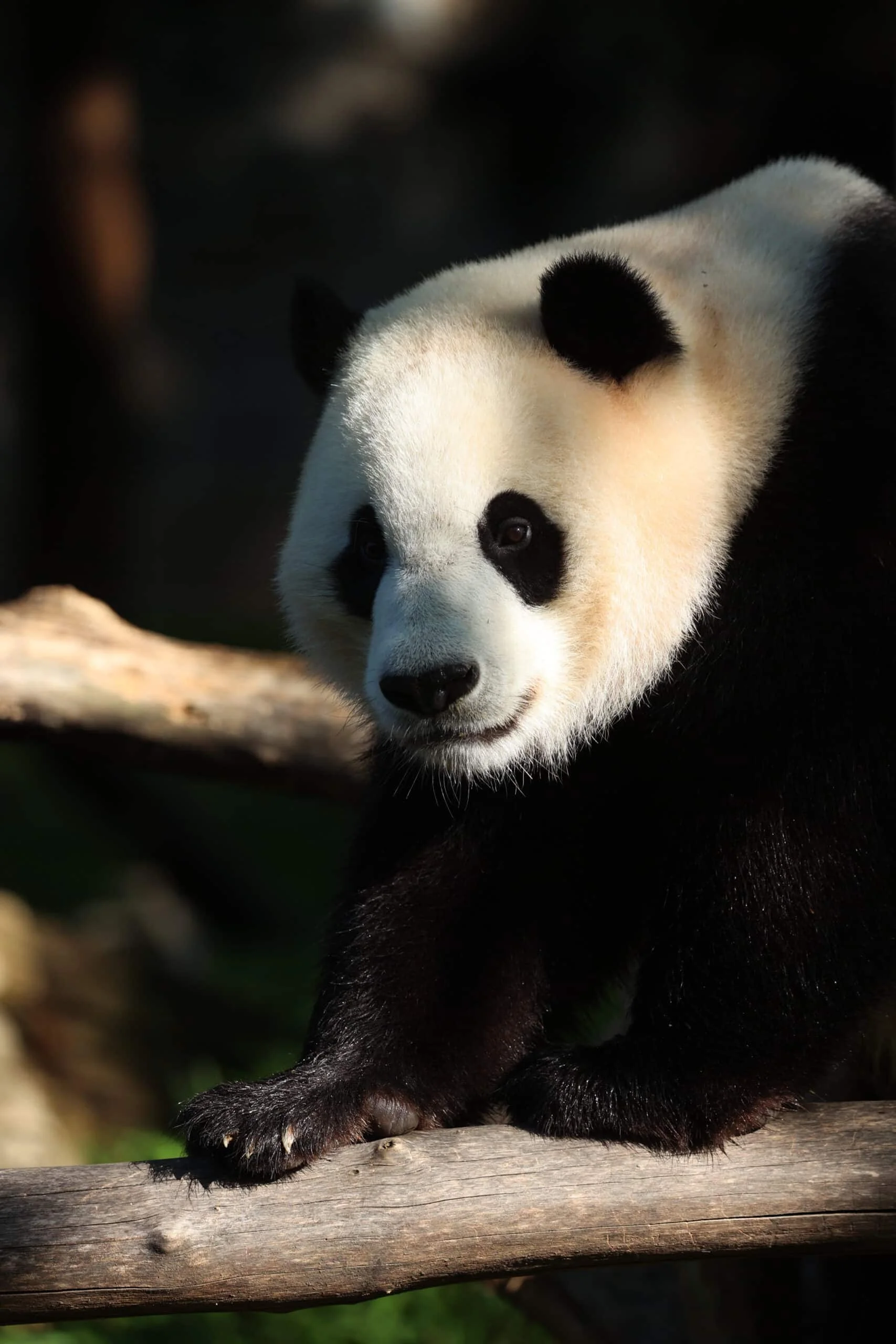 Smithsonian's National Zoo