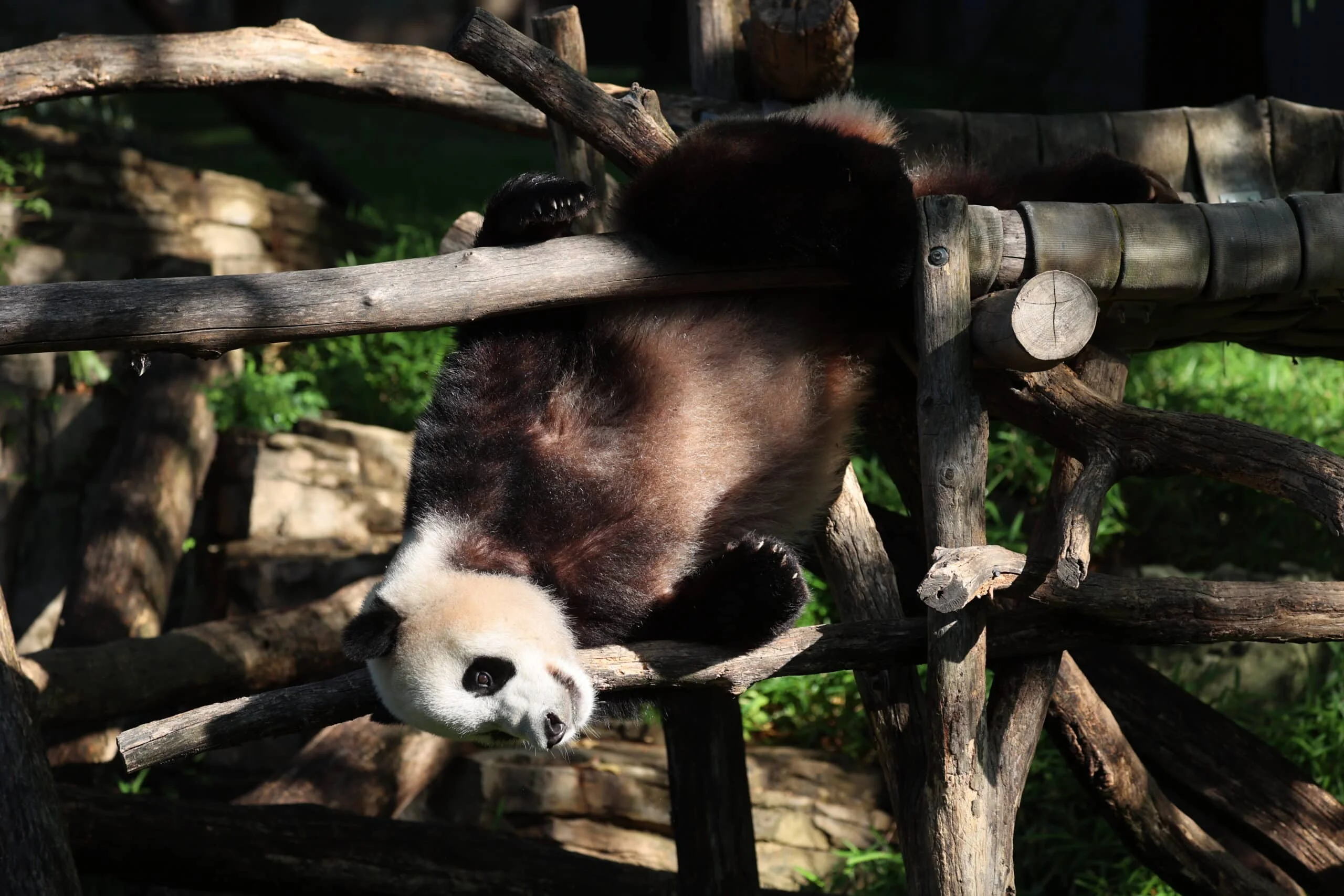 Smithsonian's National Zoo