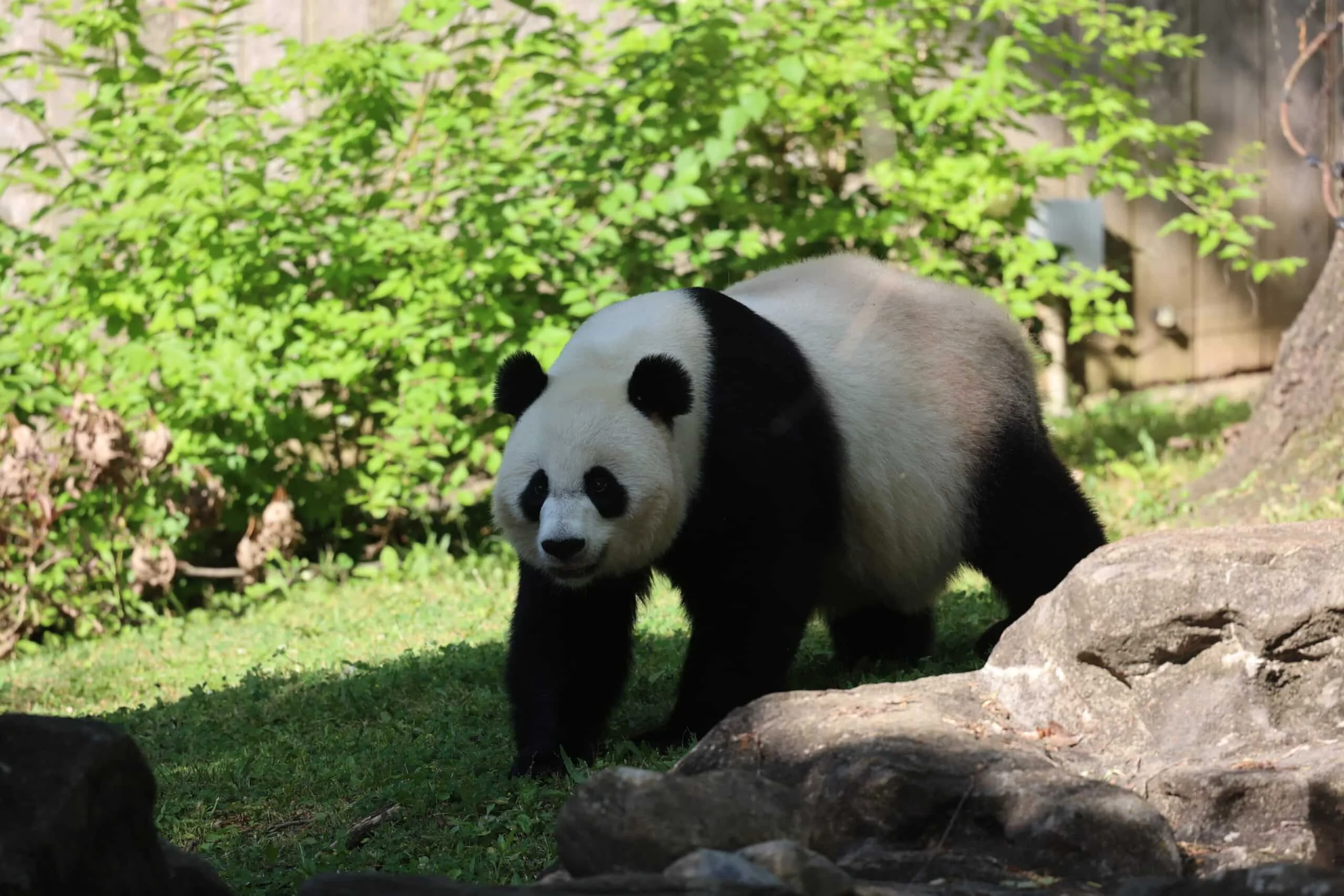 Smithsonian's National Zoo