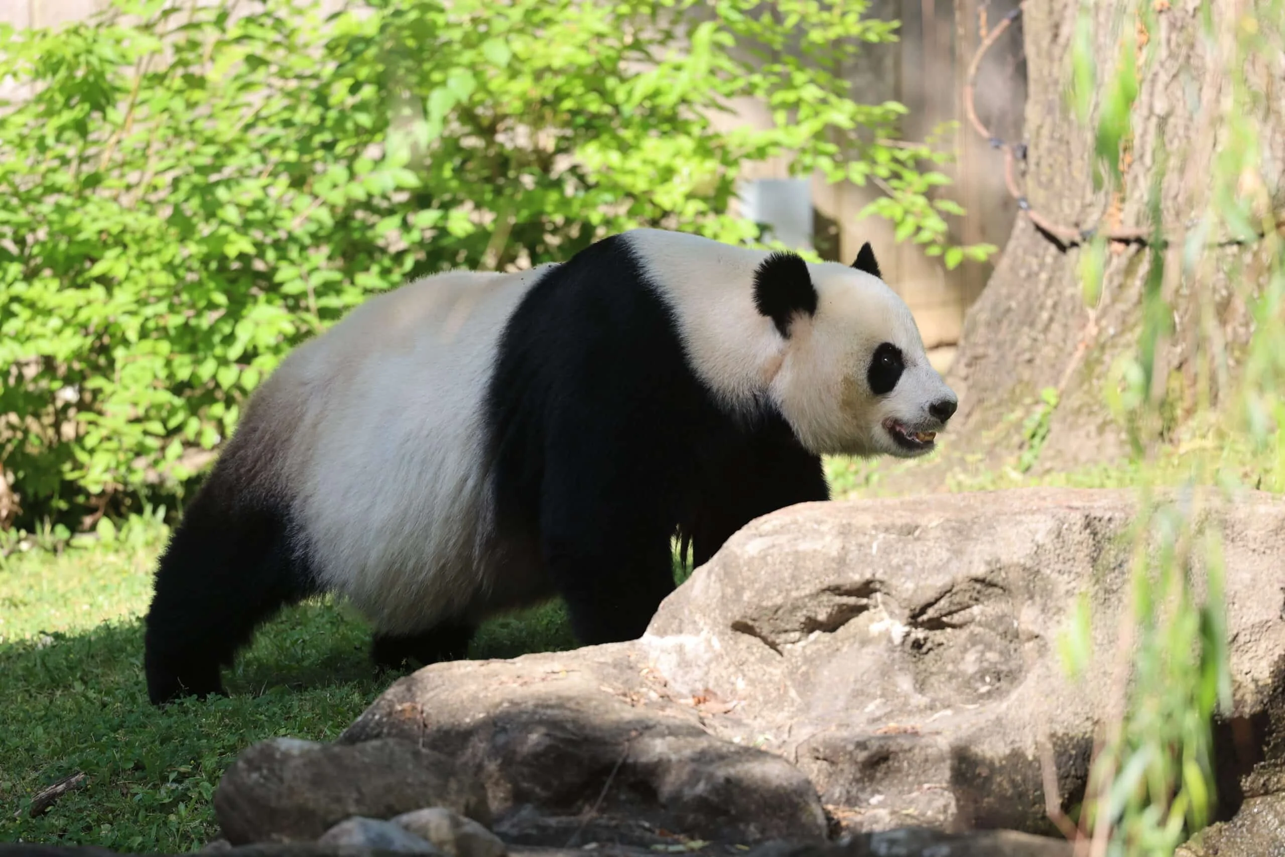 Smithsonian's National Zoo
