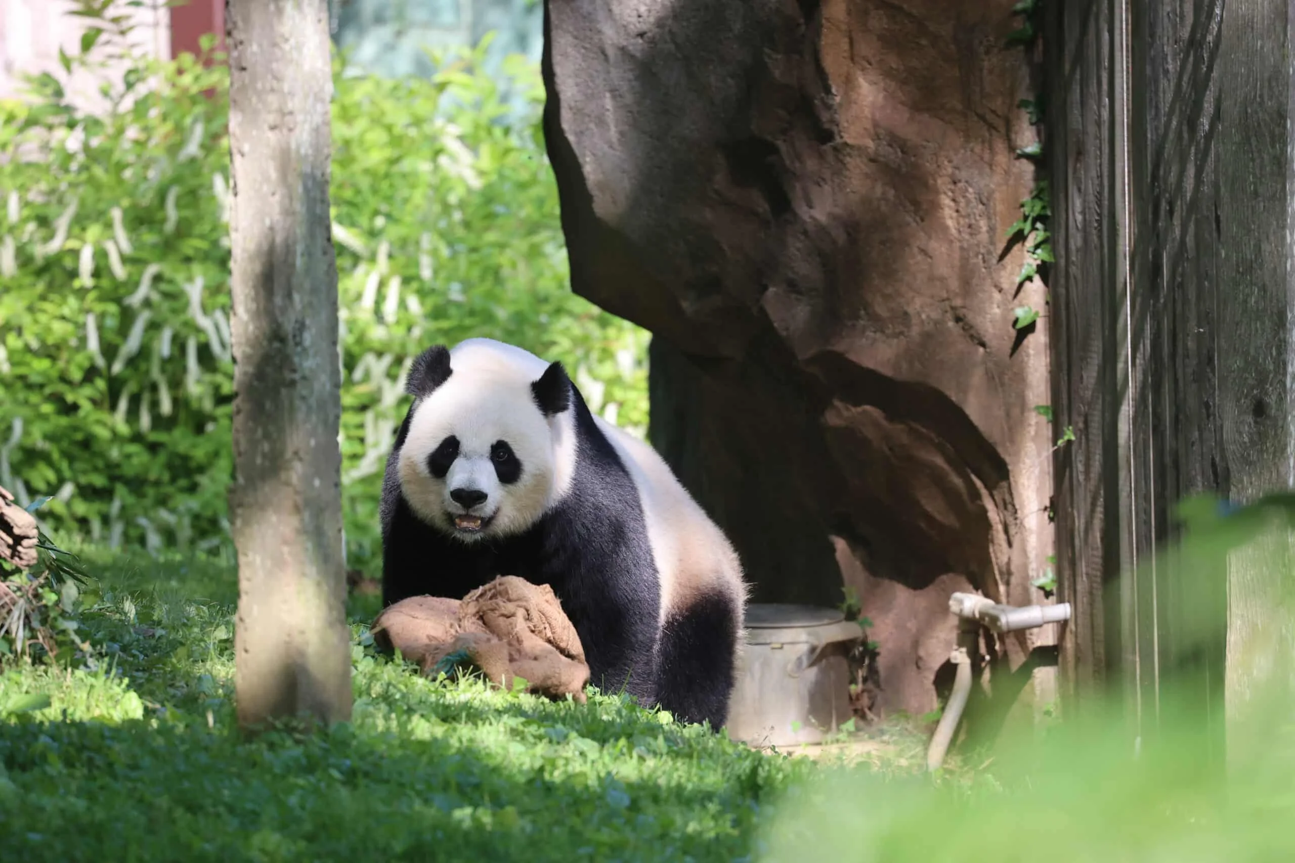 Smithsonian's National Zoo