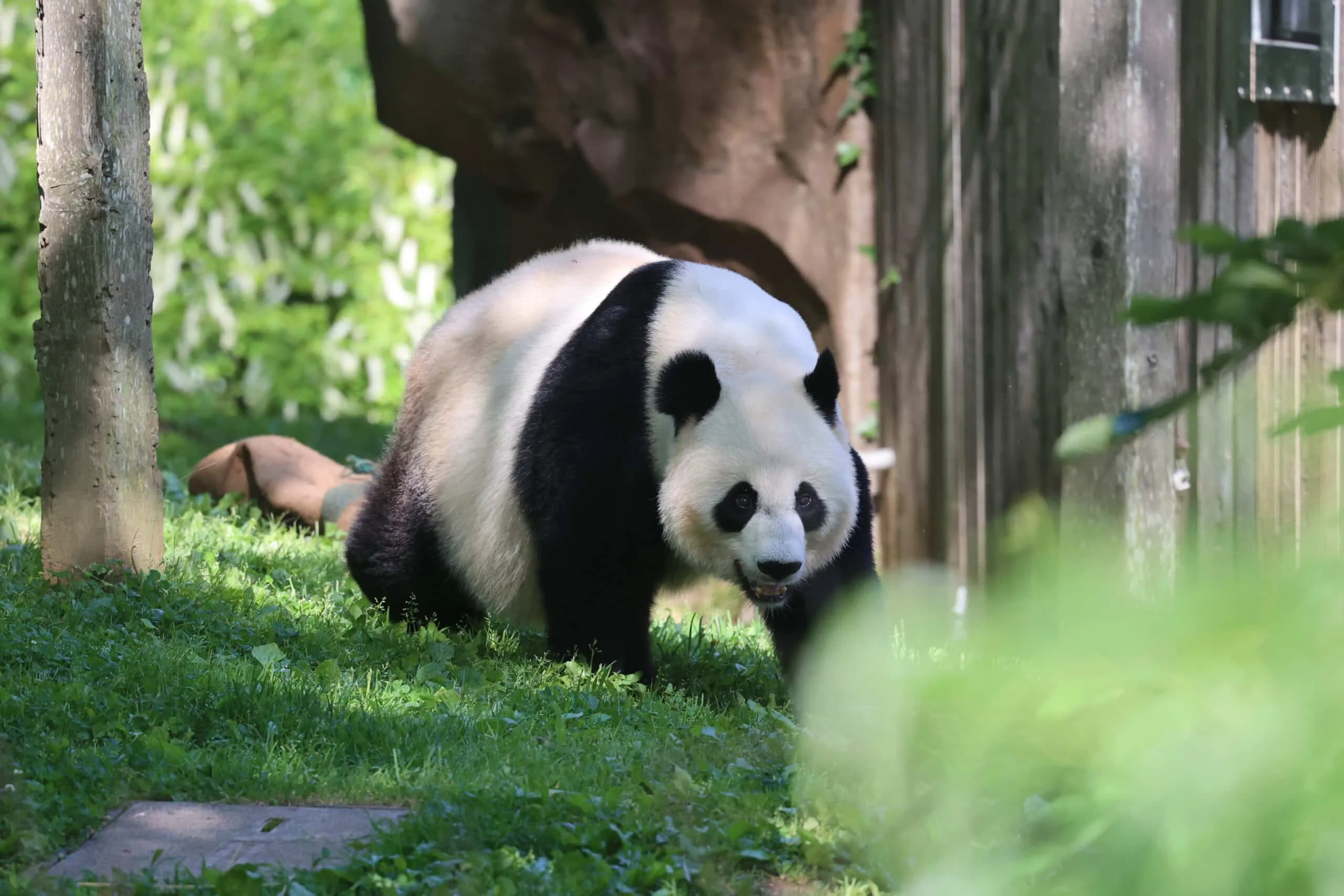 Smithsonian's National Zoo