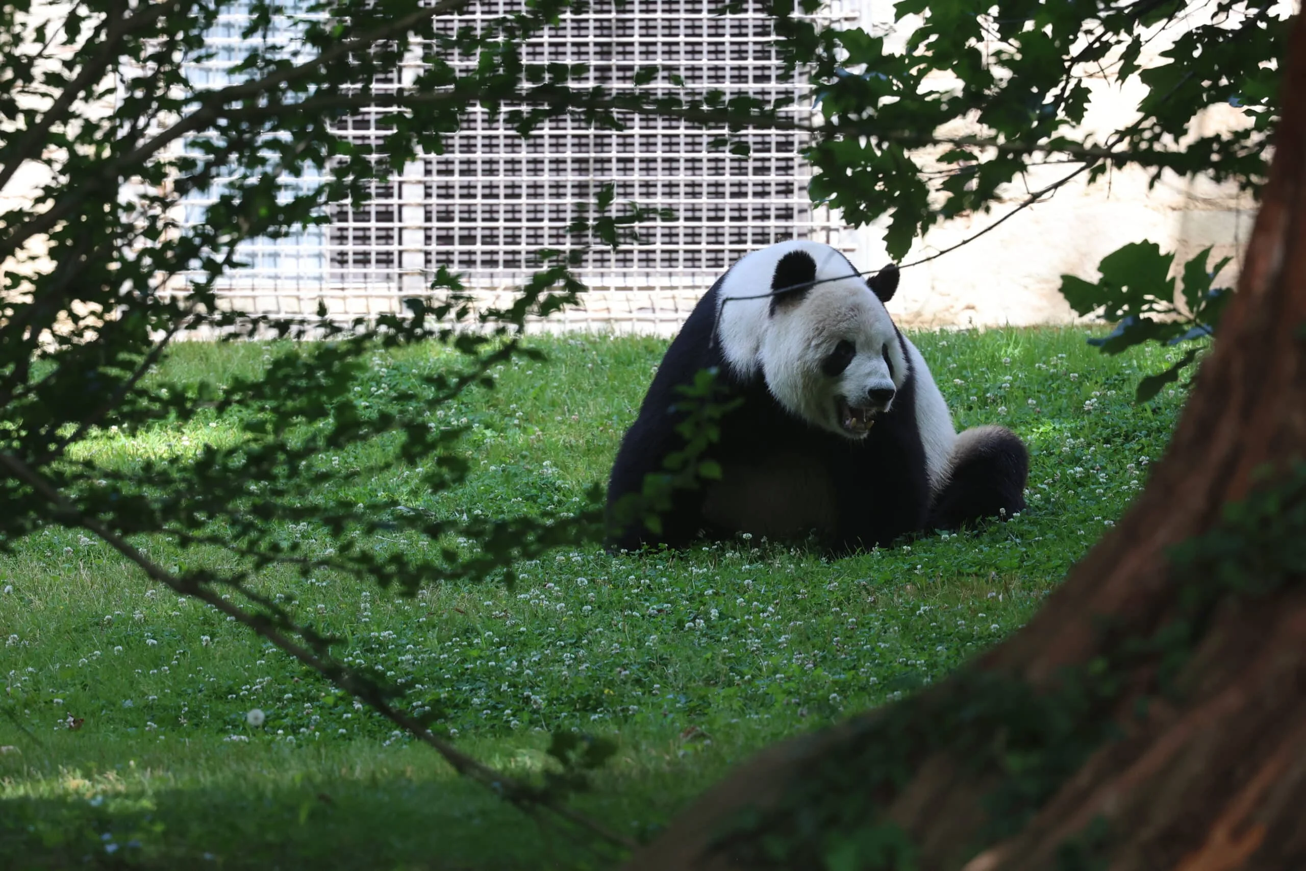 Smithsonian's National Zoo