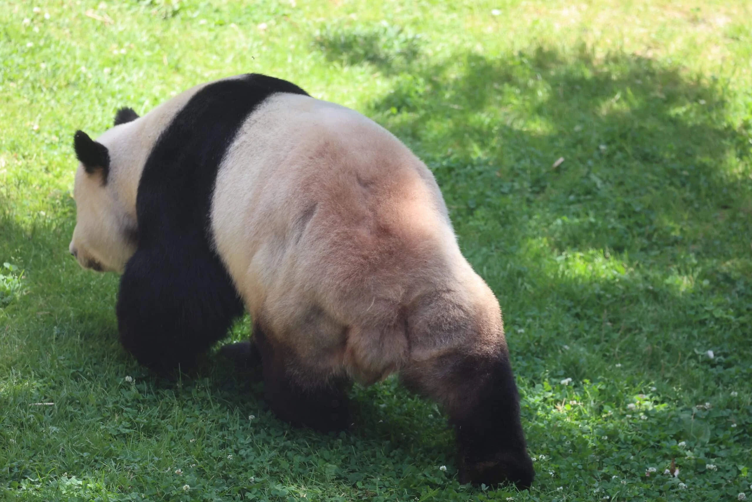 Smithsonian's National Zoo