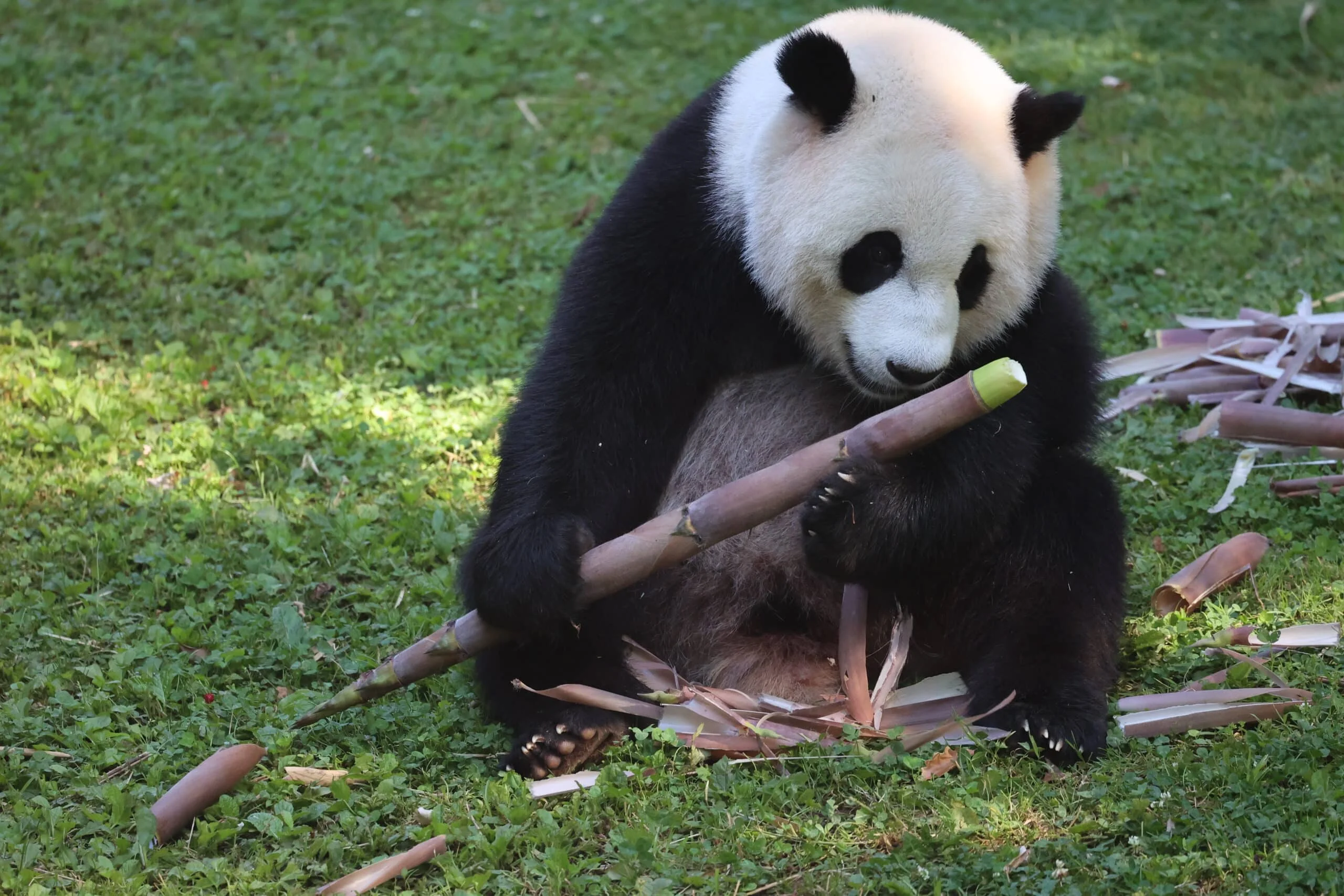 Smithsonian's National Zoo