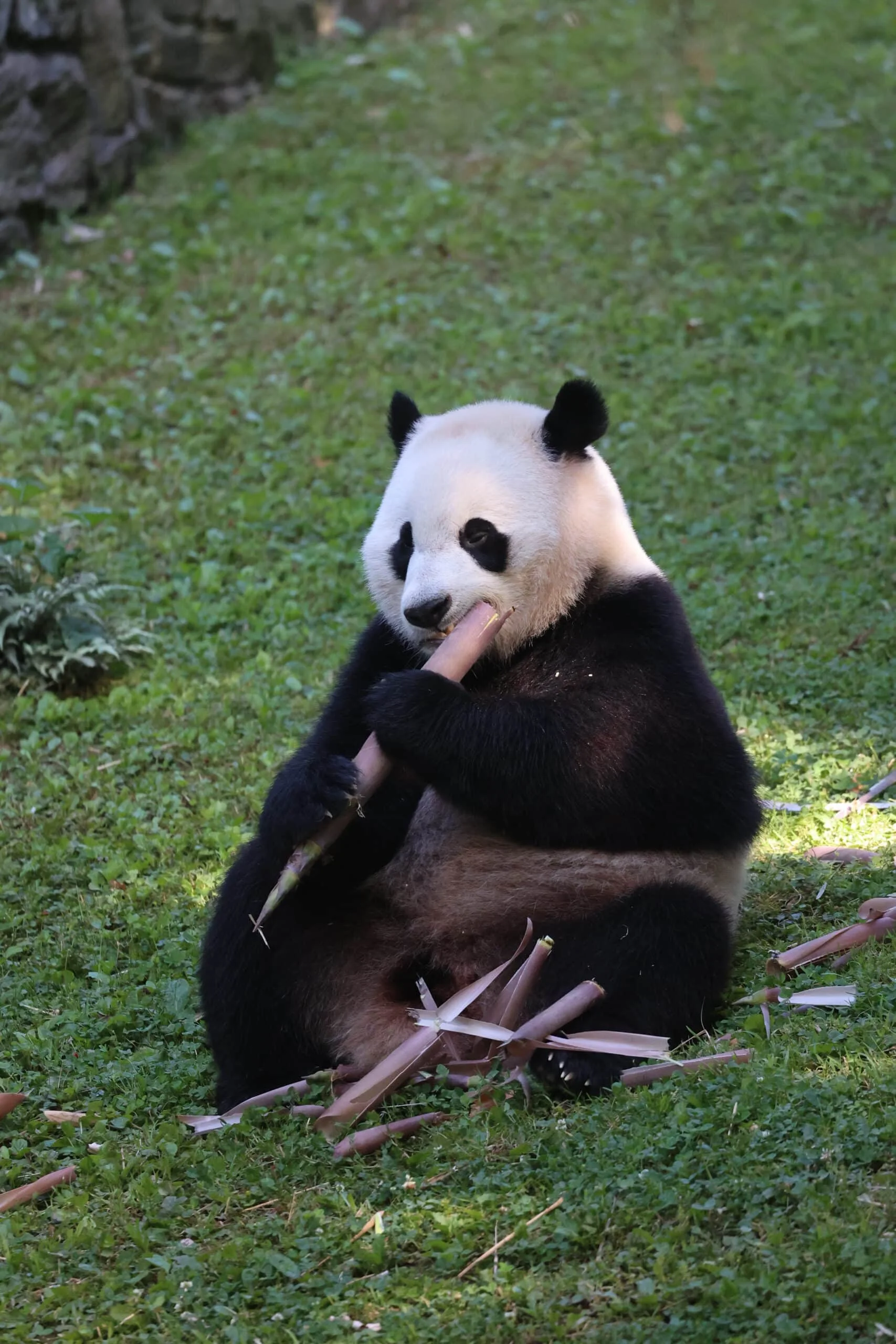 Smithsonian's National Zoo
