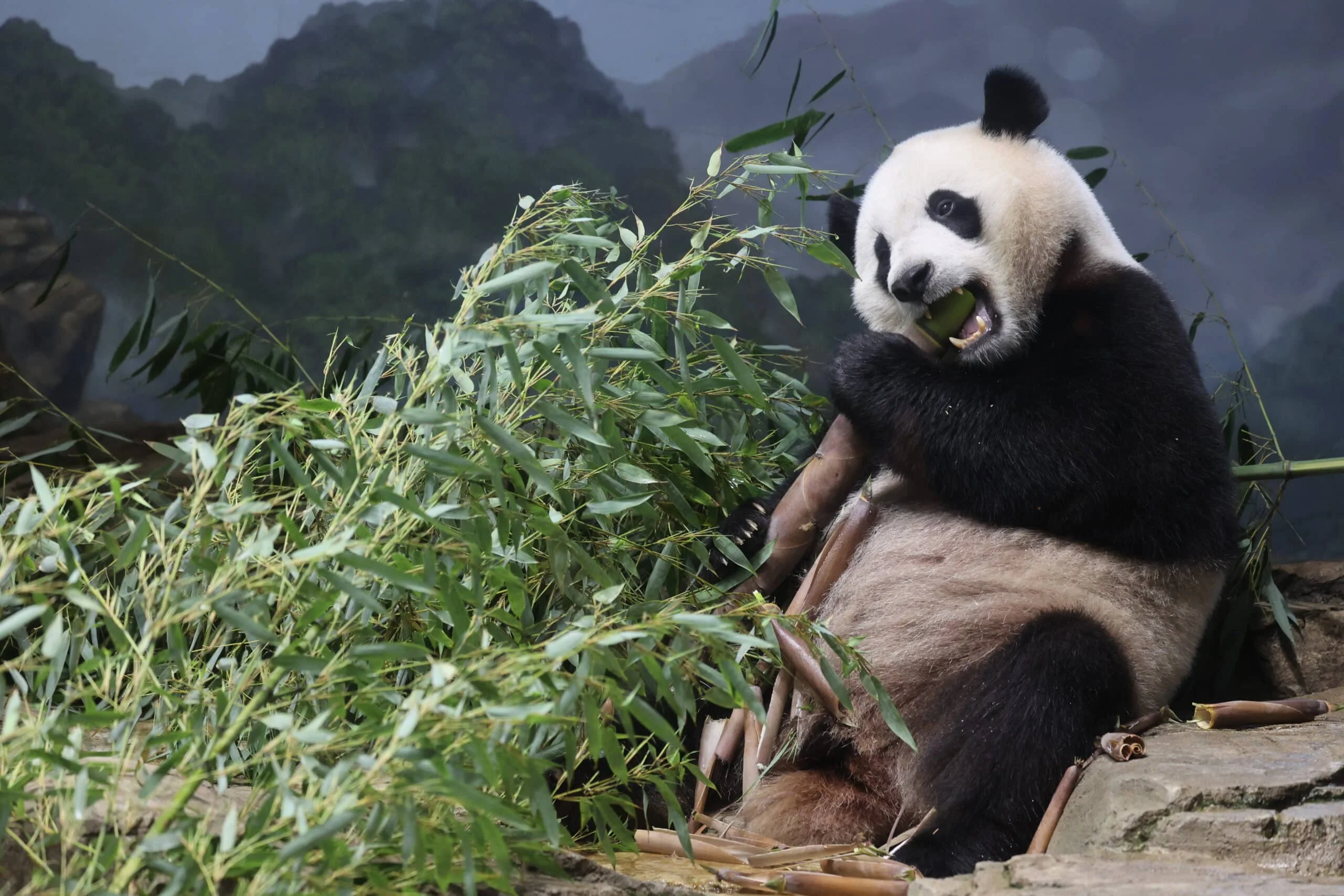 Smithsonian's National Zoo