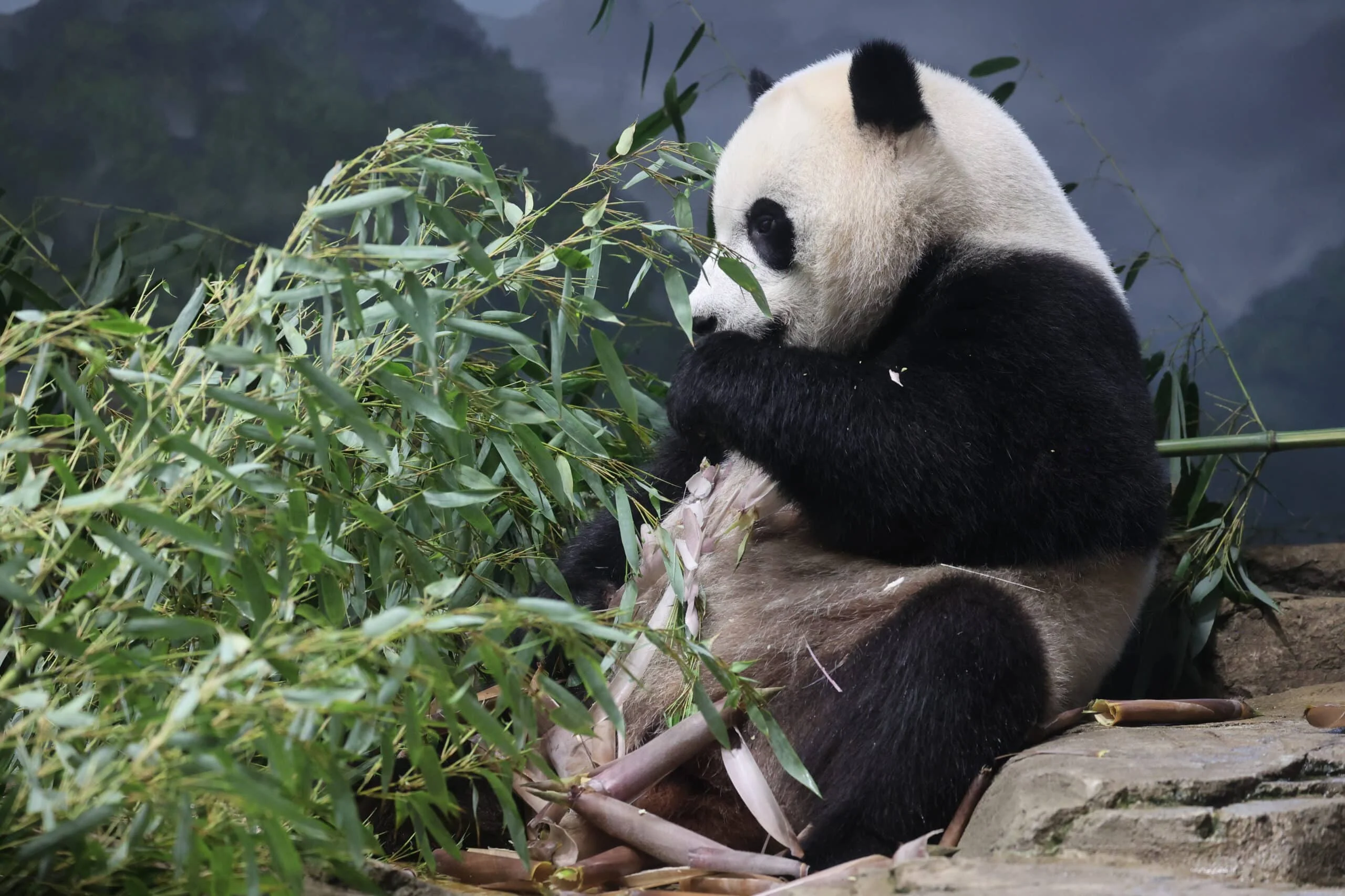 Smithsonian's National Zoo