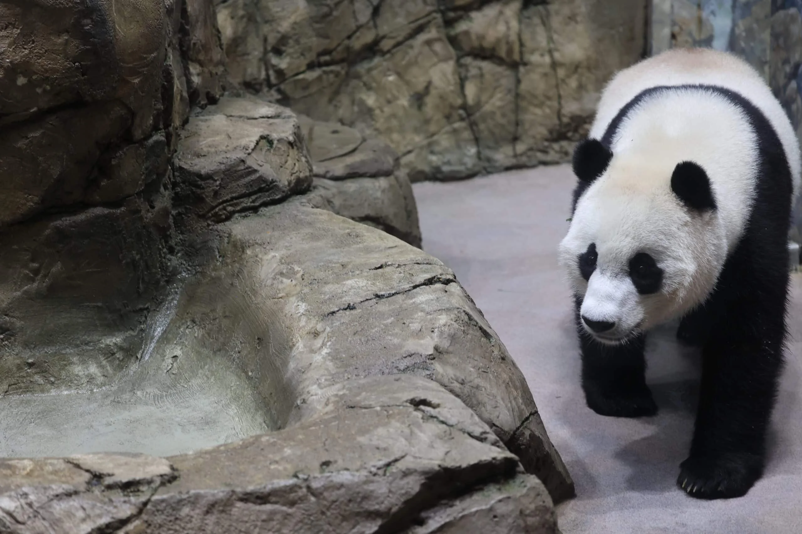 Smithsonian's National Zoo