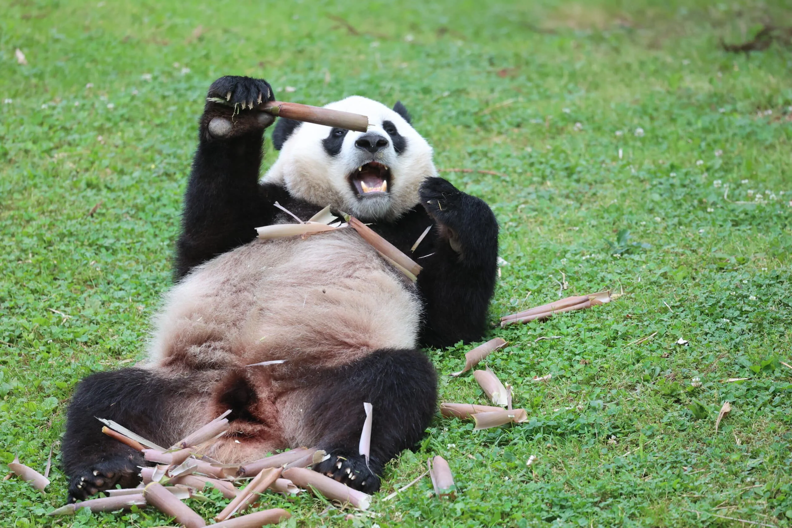 Smithsonian's National Zoo