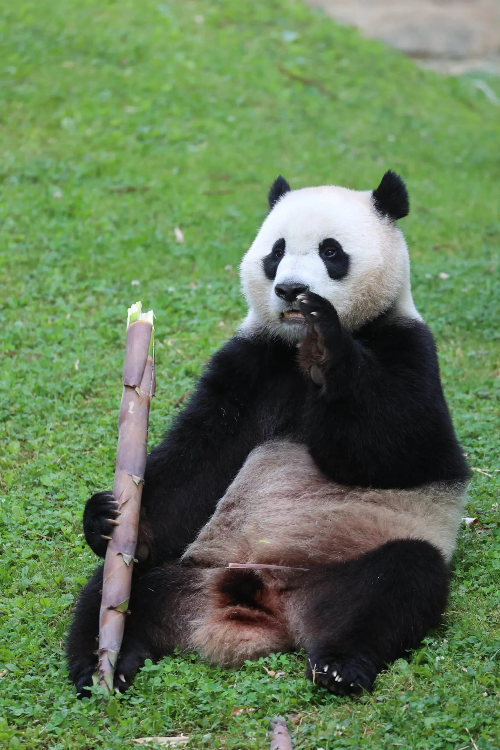 Smithsonian's National Zoo