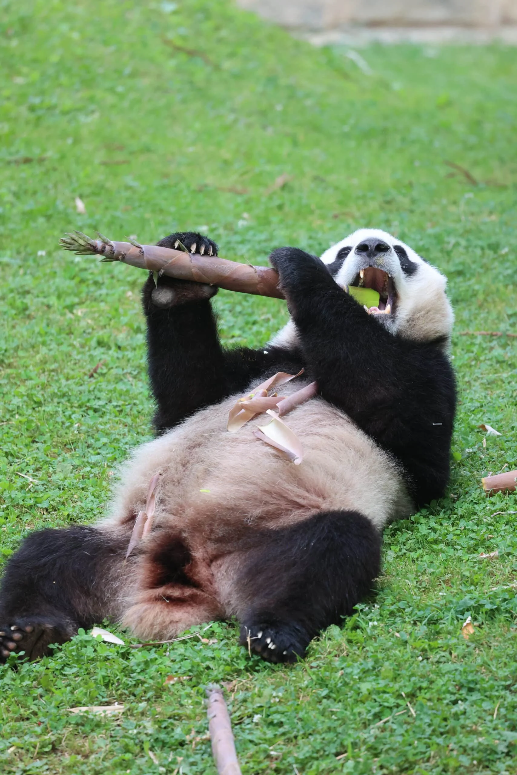 Smithsonian's National Zoo