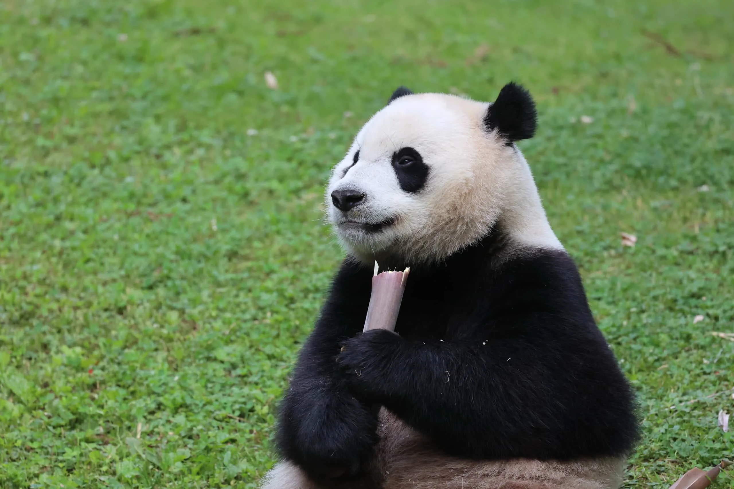 Smithsonian's National Zoo