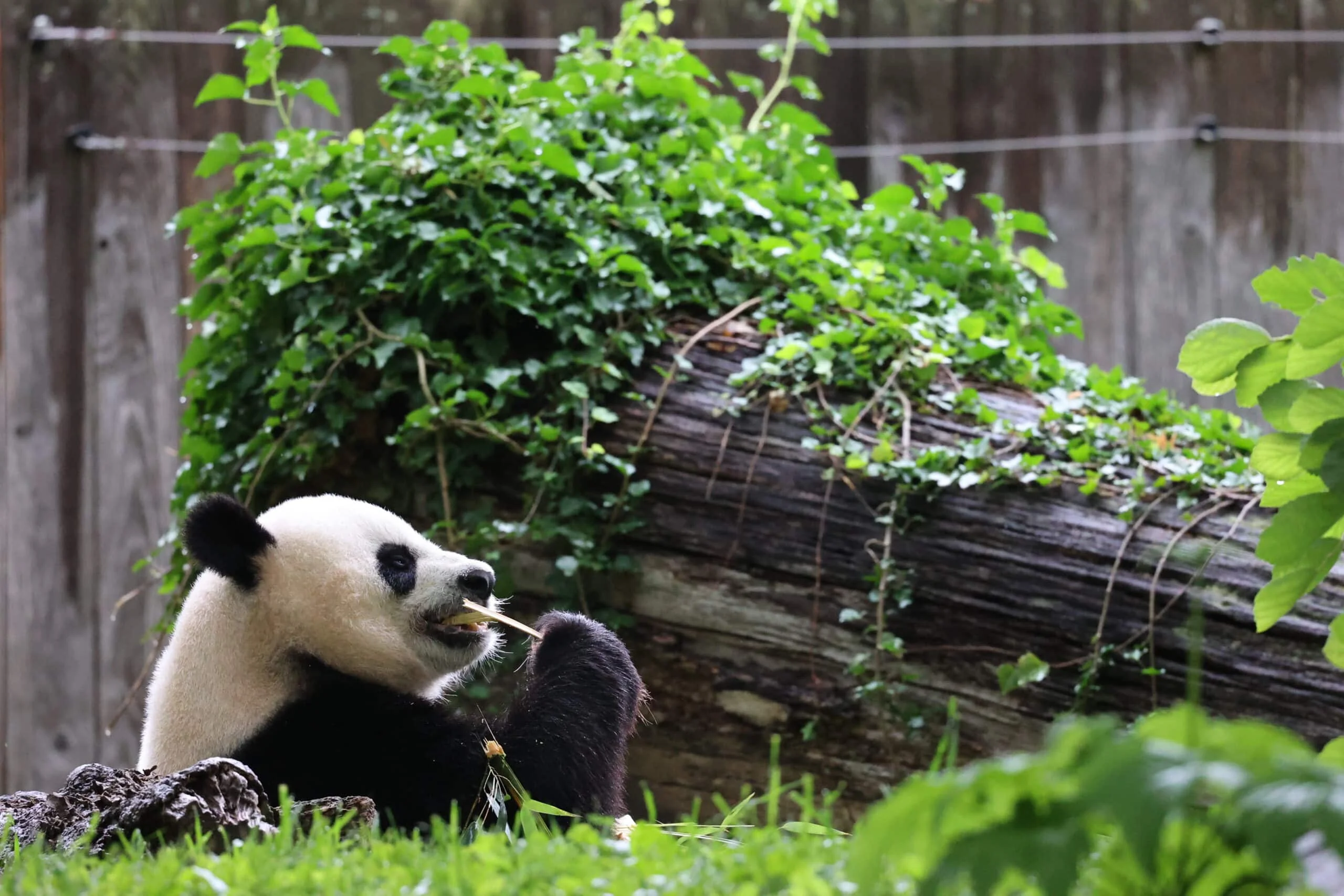 Smithsonian's National Zoo