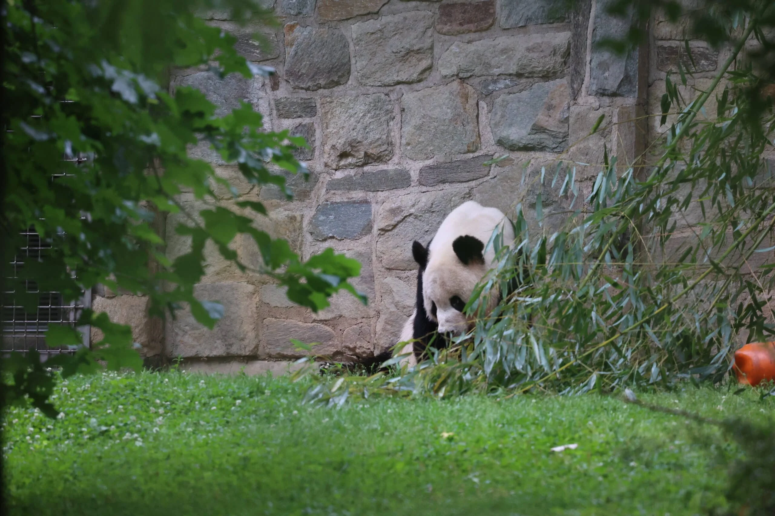 Smithsonian's National Zoo