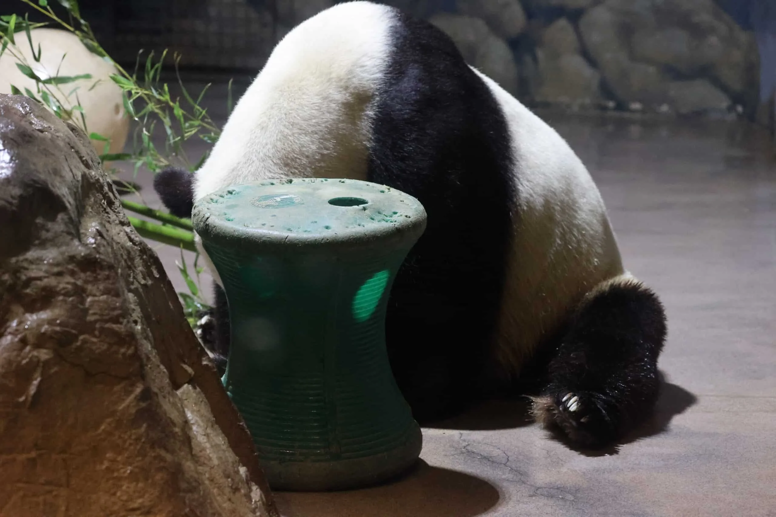 Smithsonian's National Zoo