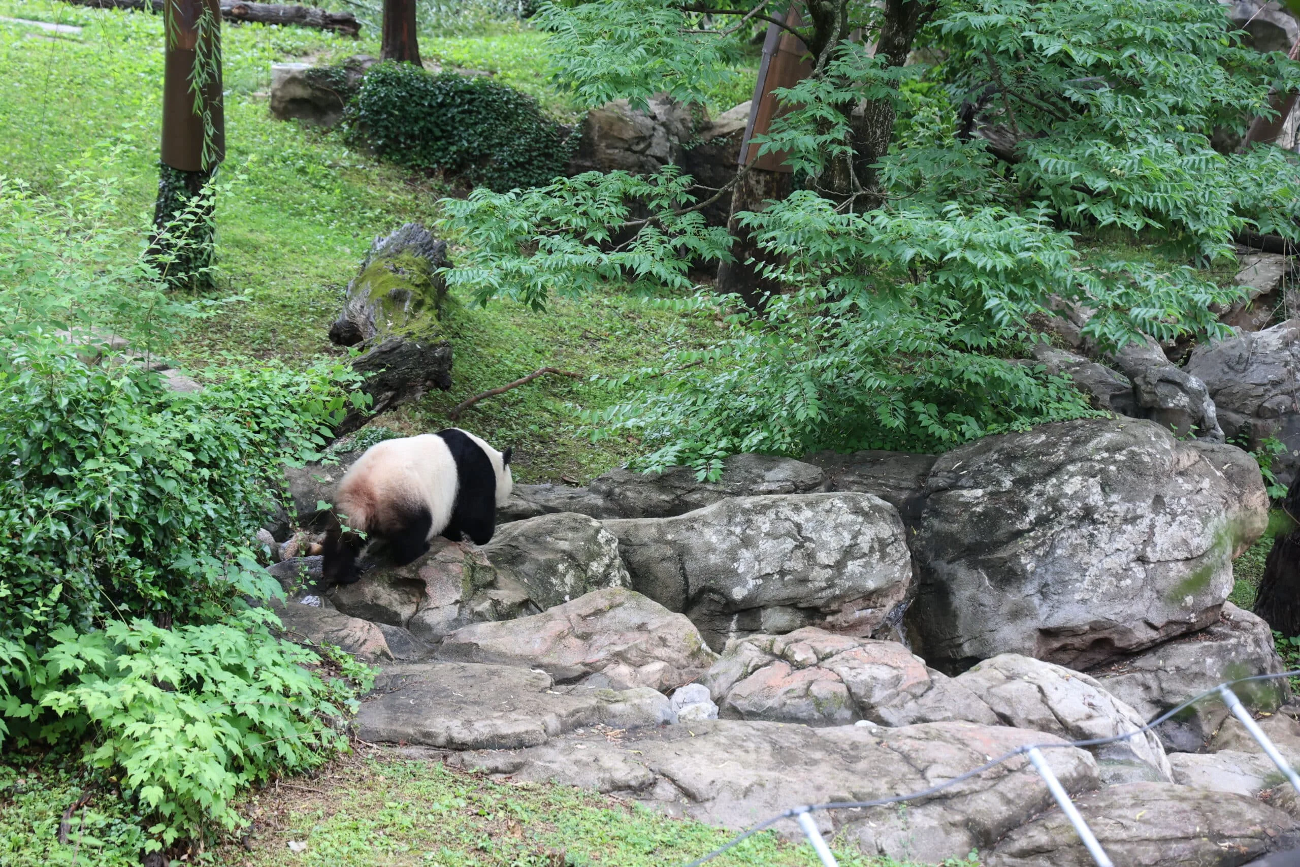 Smithsonian's National Zoo