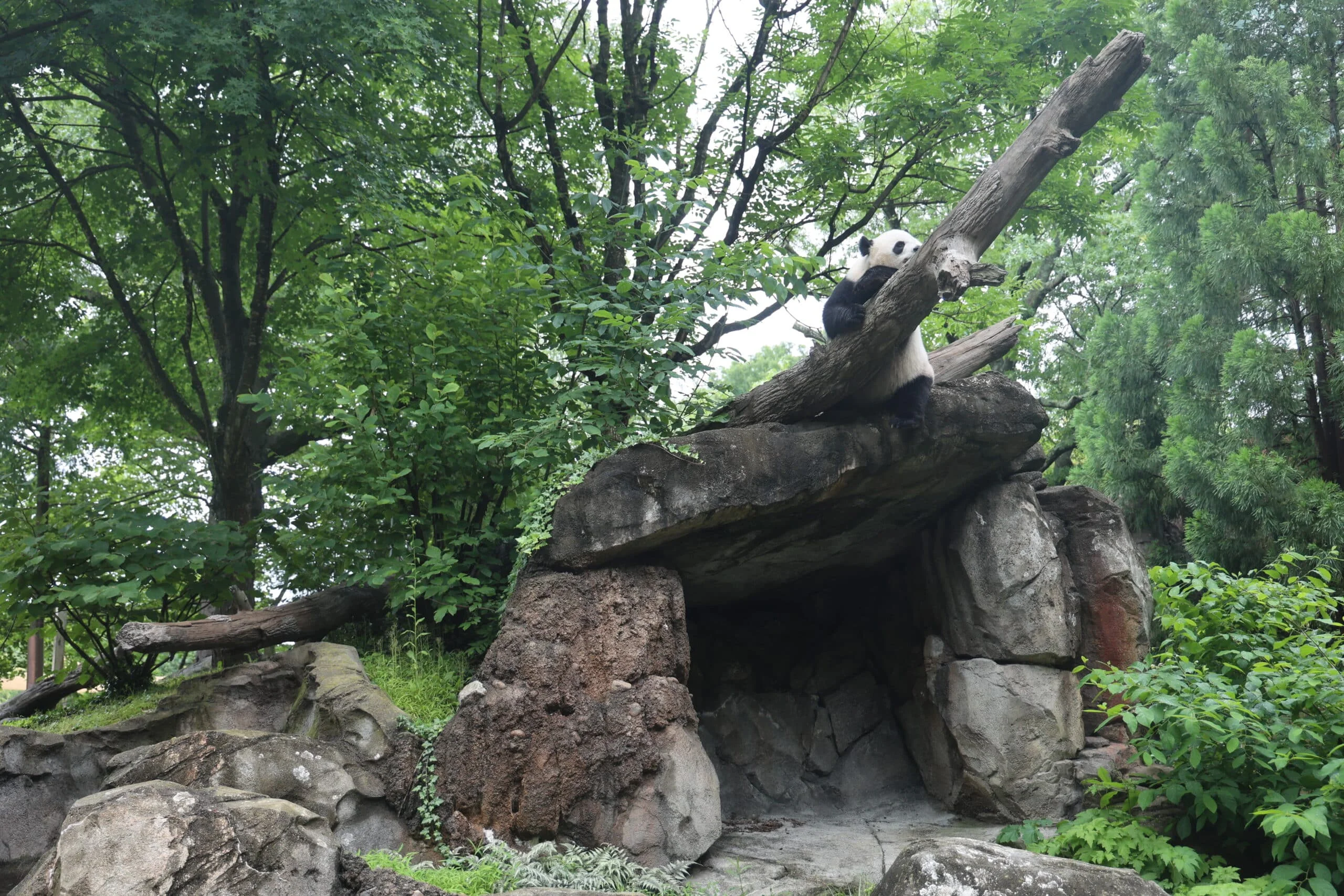 Smithsonian's National Zoo