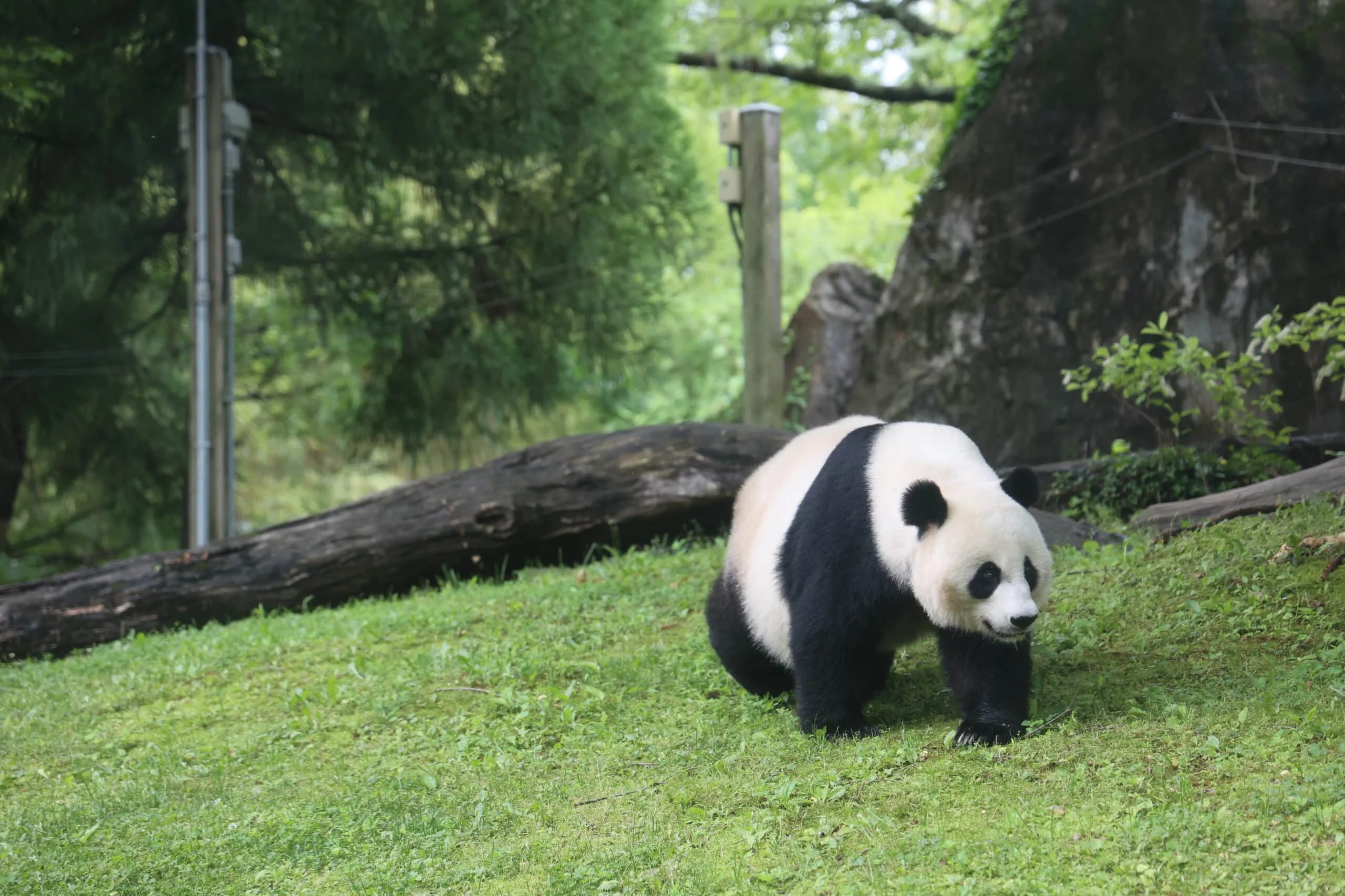 Smithsonian's National Zoo