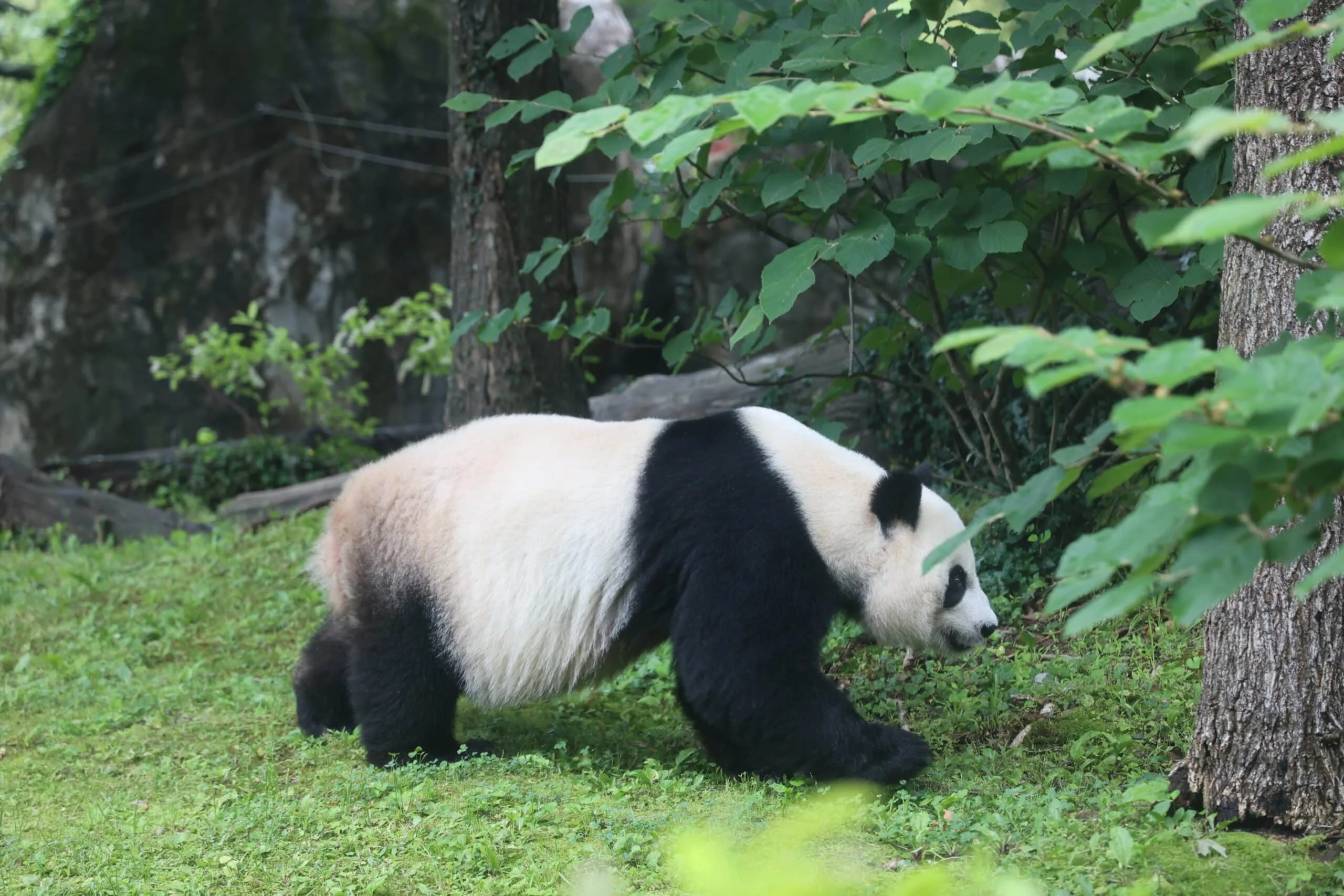 Smithsonian's National Zoo