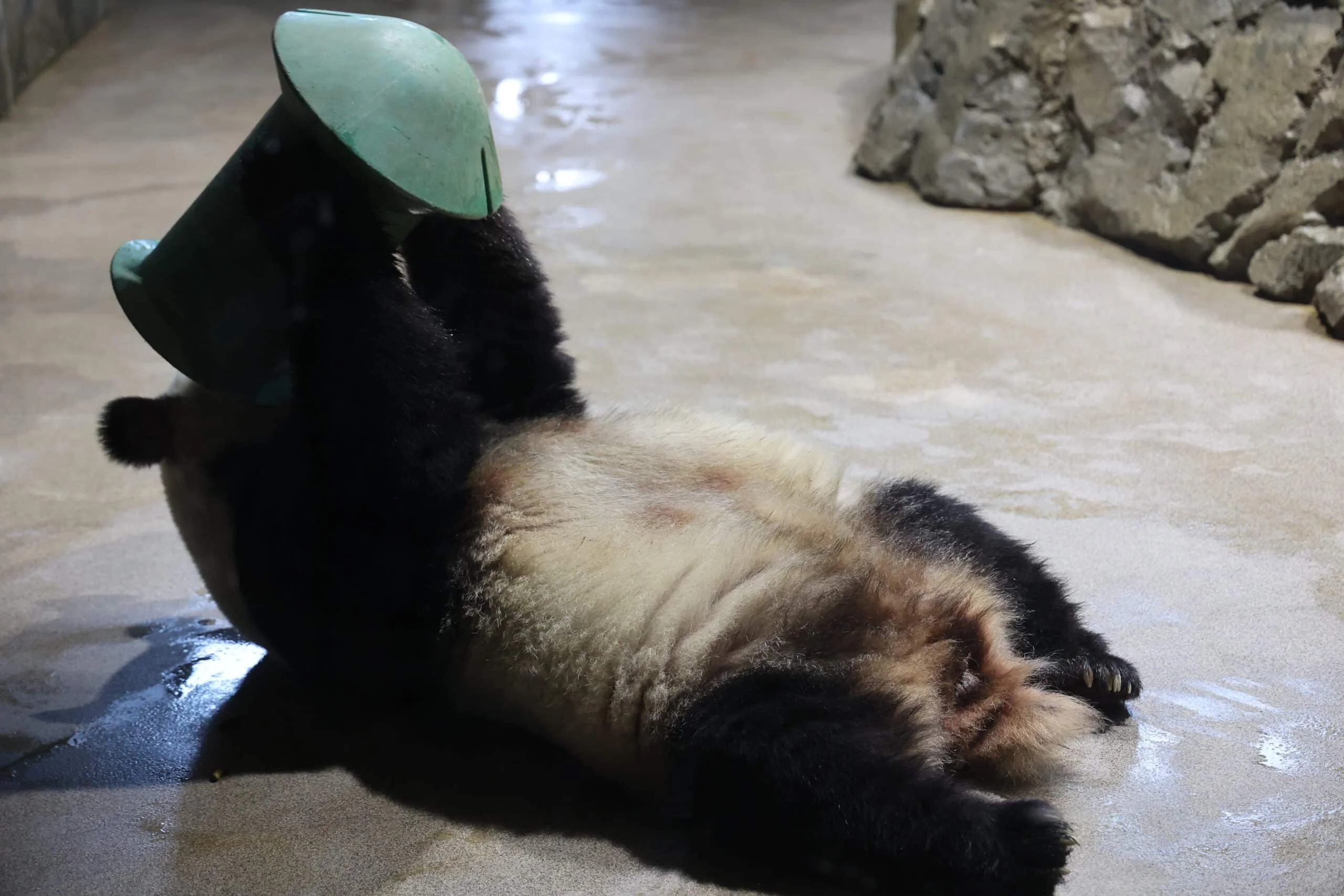 Smithsonian's National Zoo