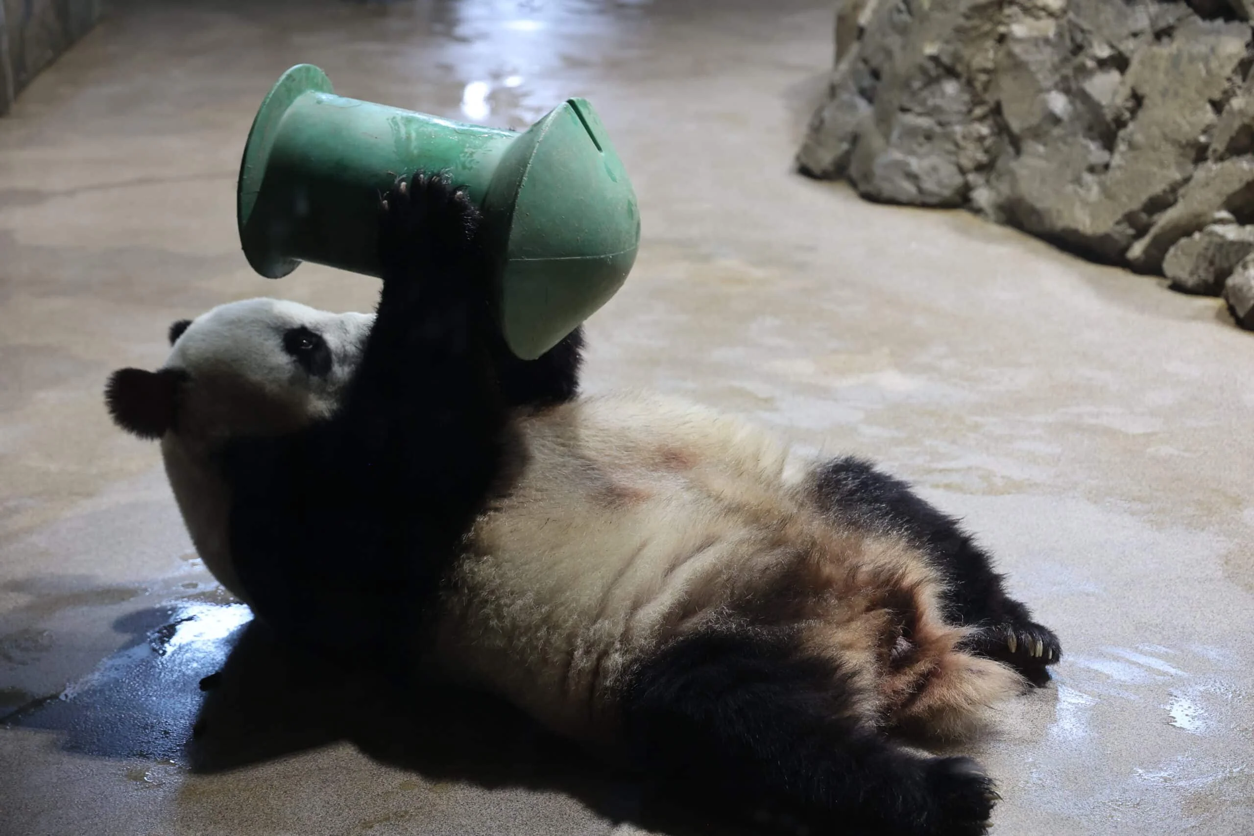 Smithsonian's National Zoo