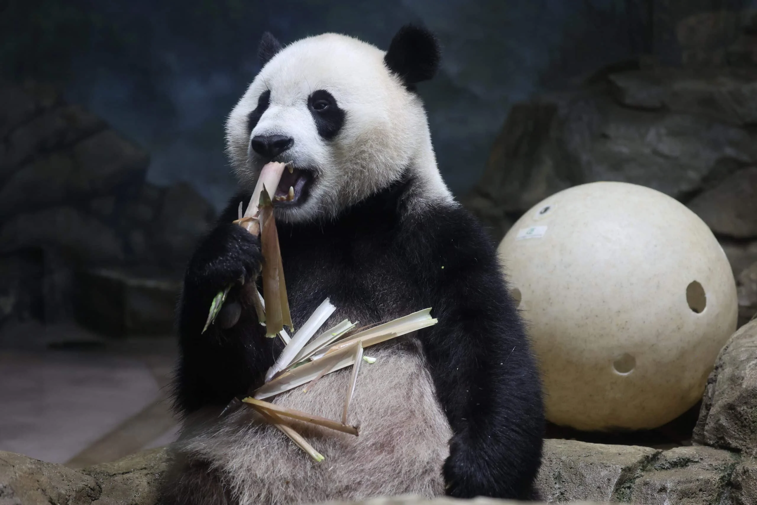 Smithsonian's National Zoo