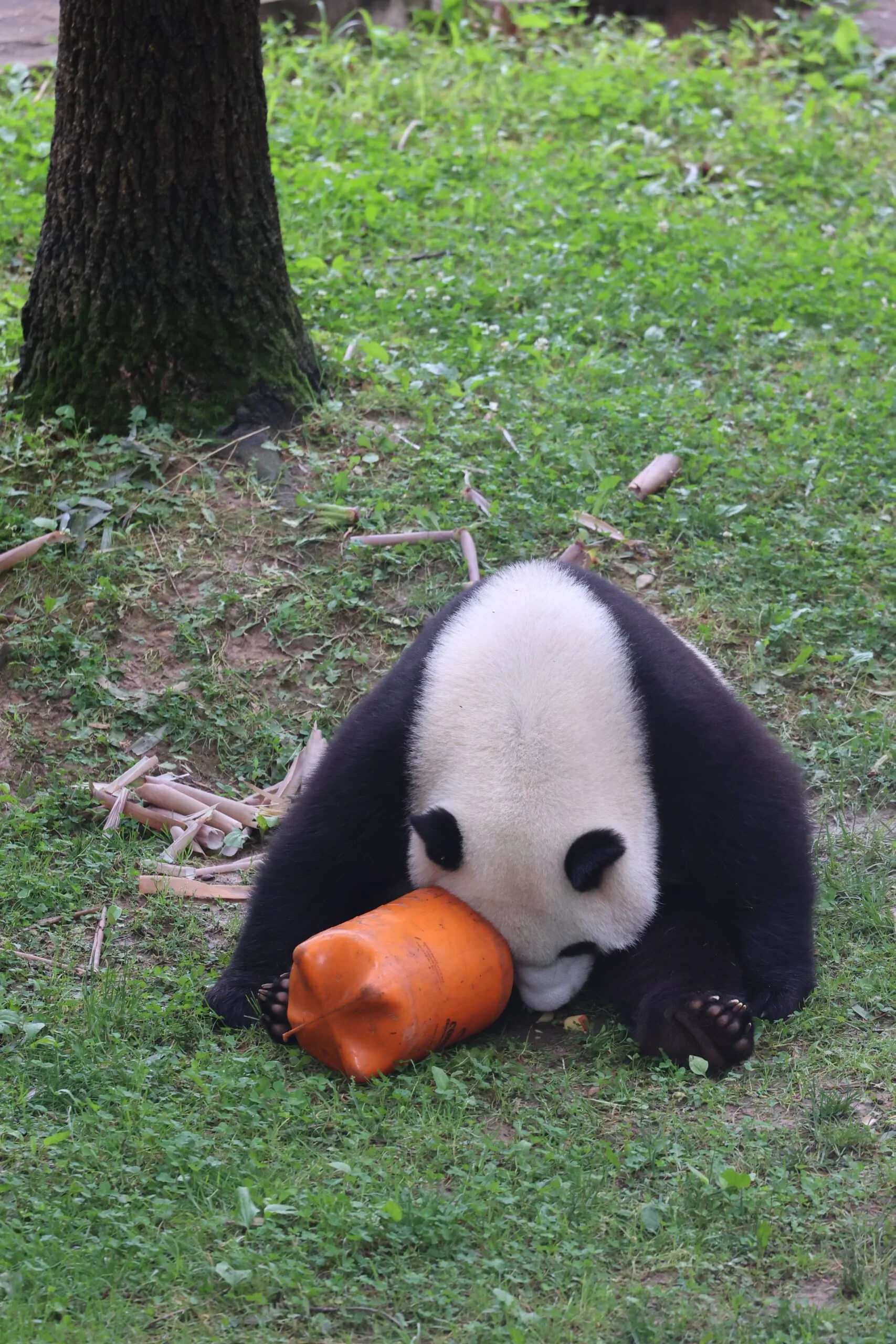 Smithsonian's National Zoo