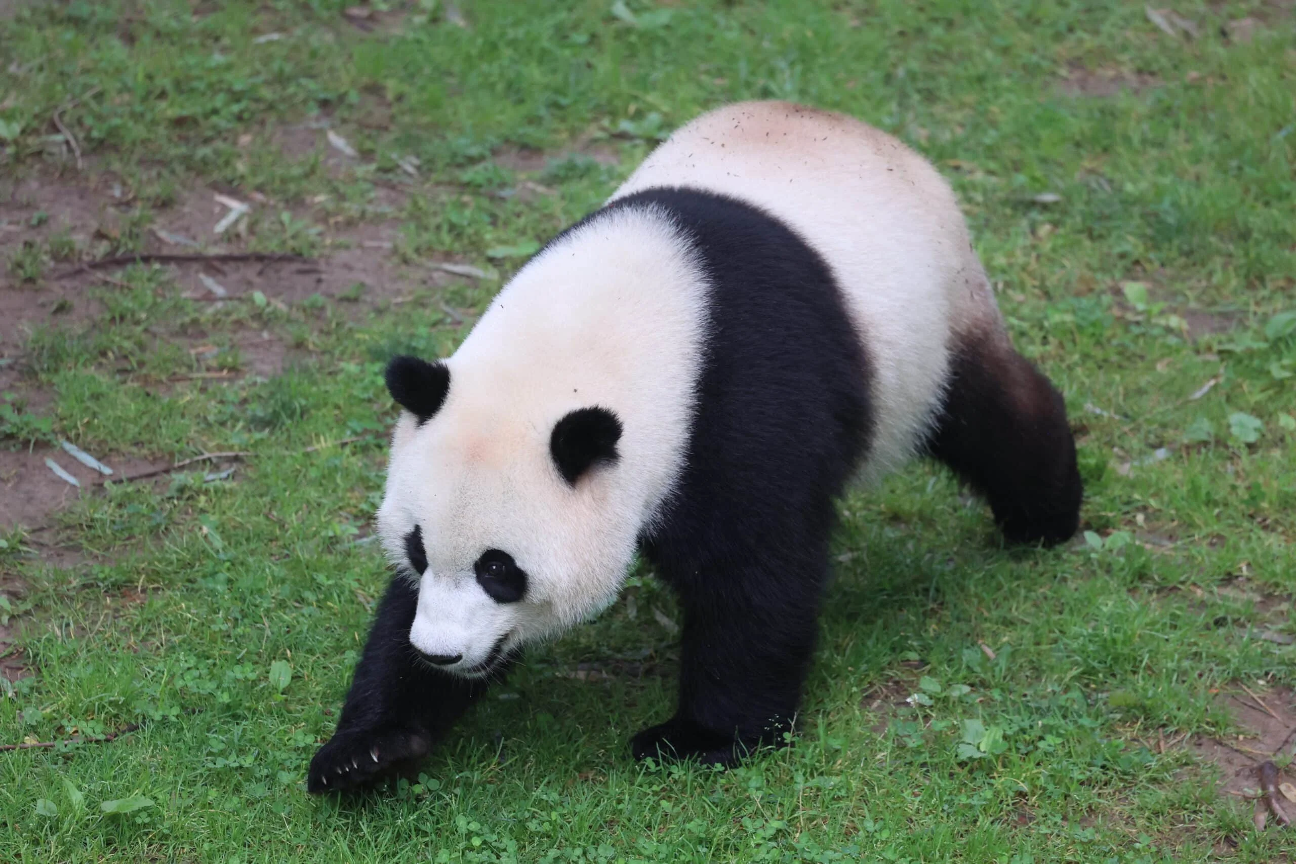 Smithsonian's National Zoo