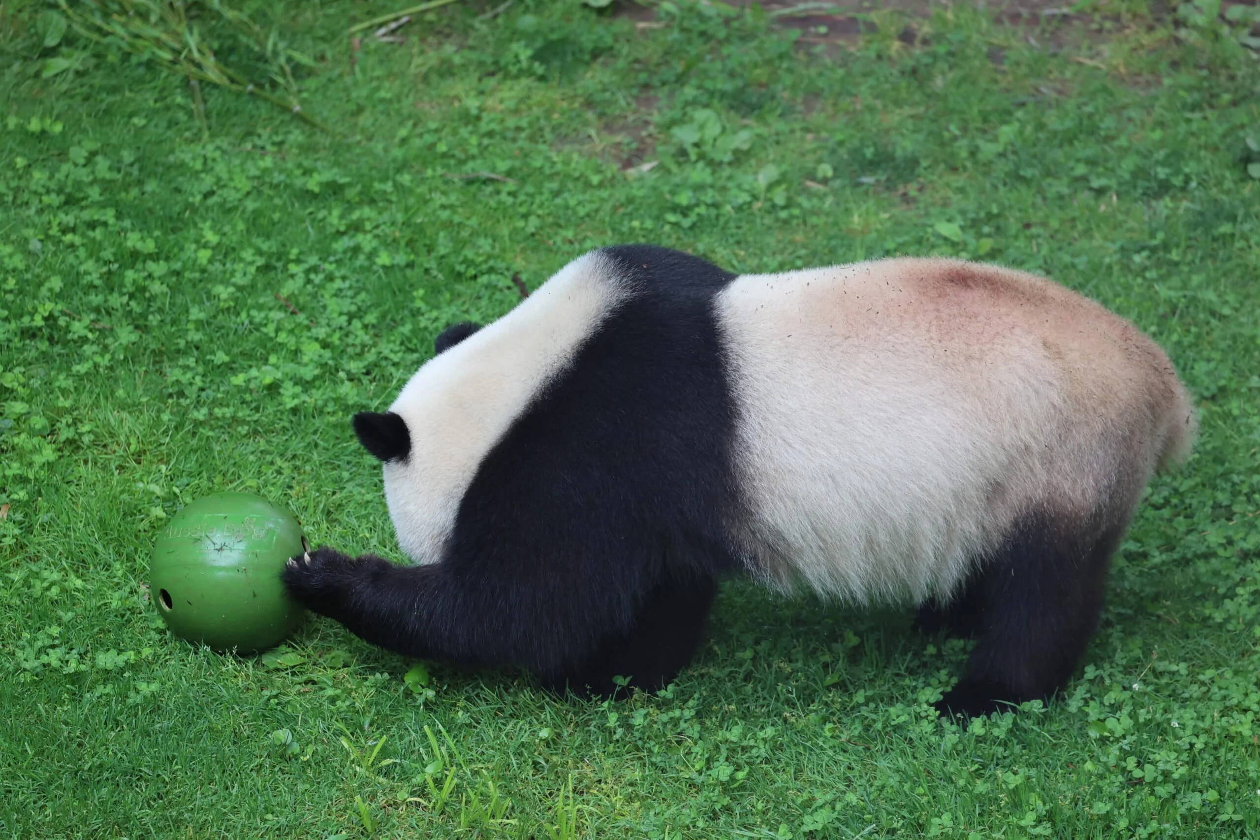 Smithsonian's National Zoo