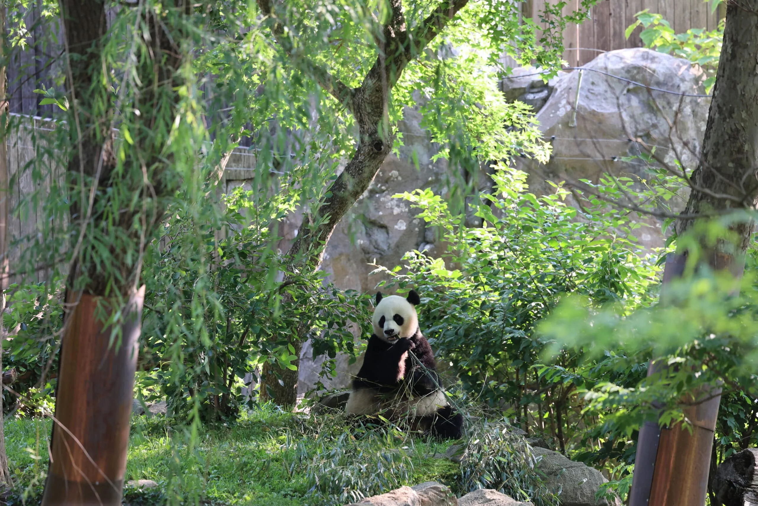 Smithsonian's National Zoo