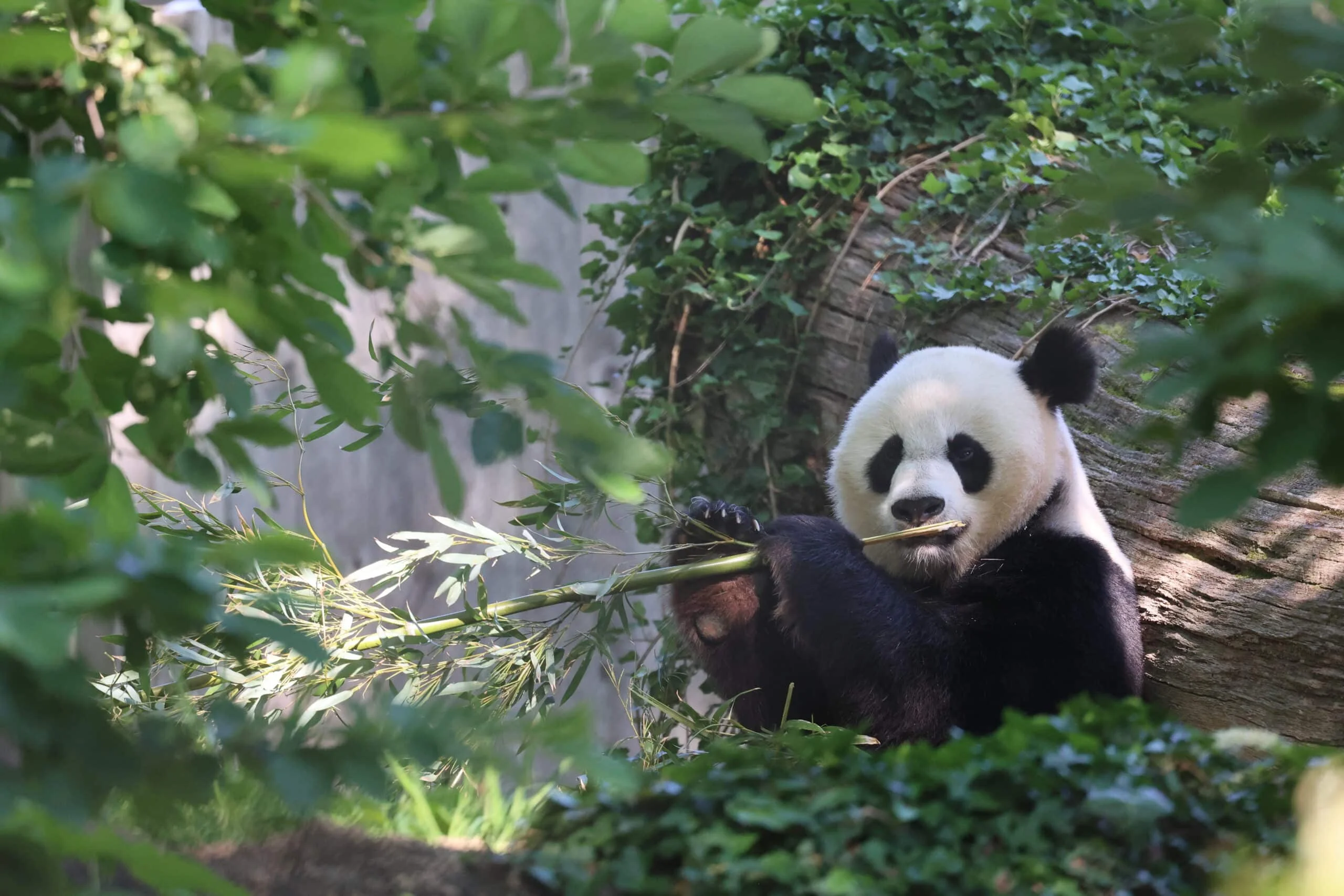Smithsonian's National Zoo