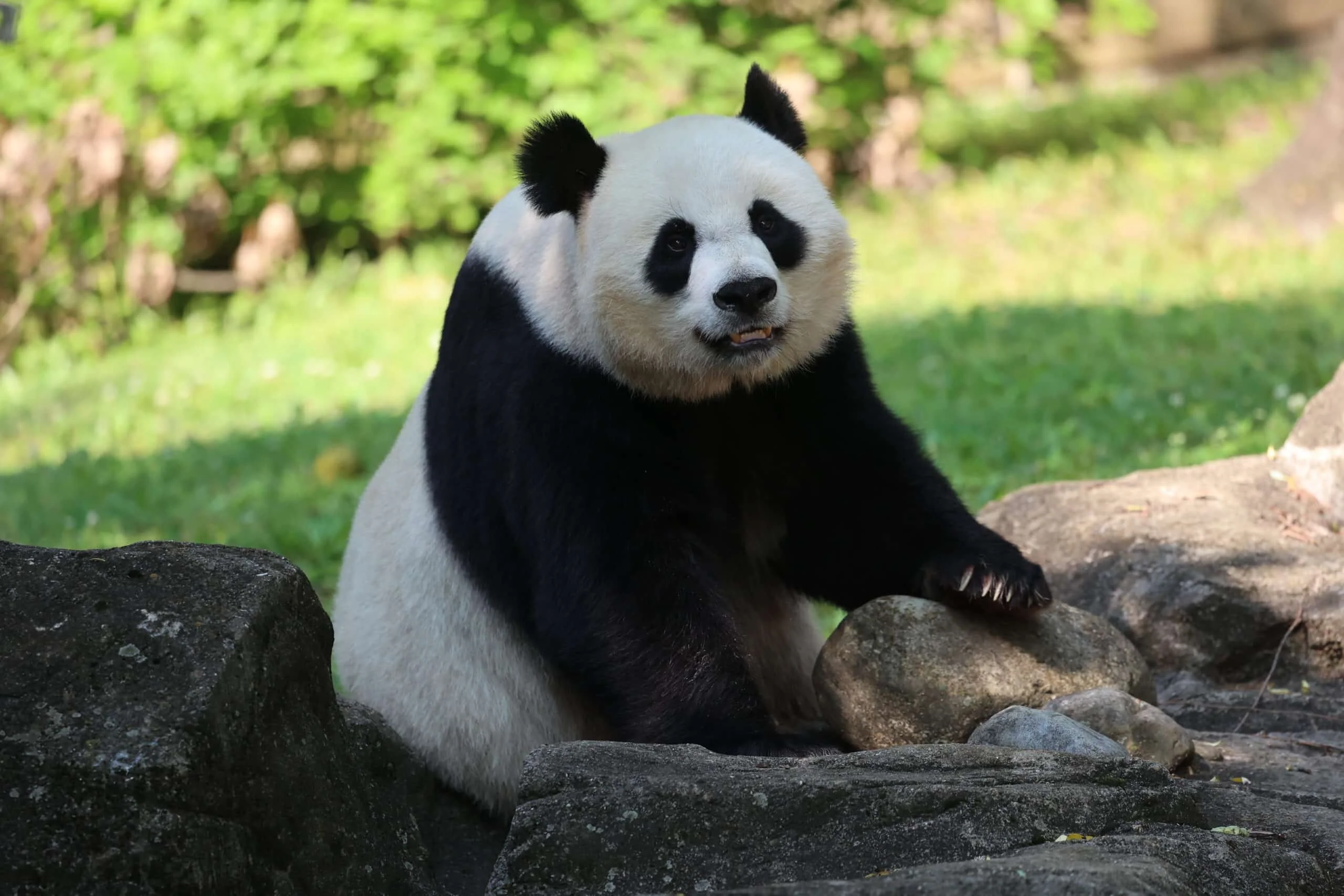 Smithsonian's National Zoo