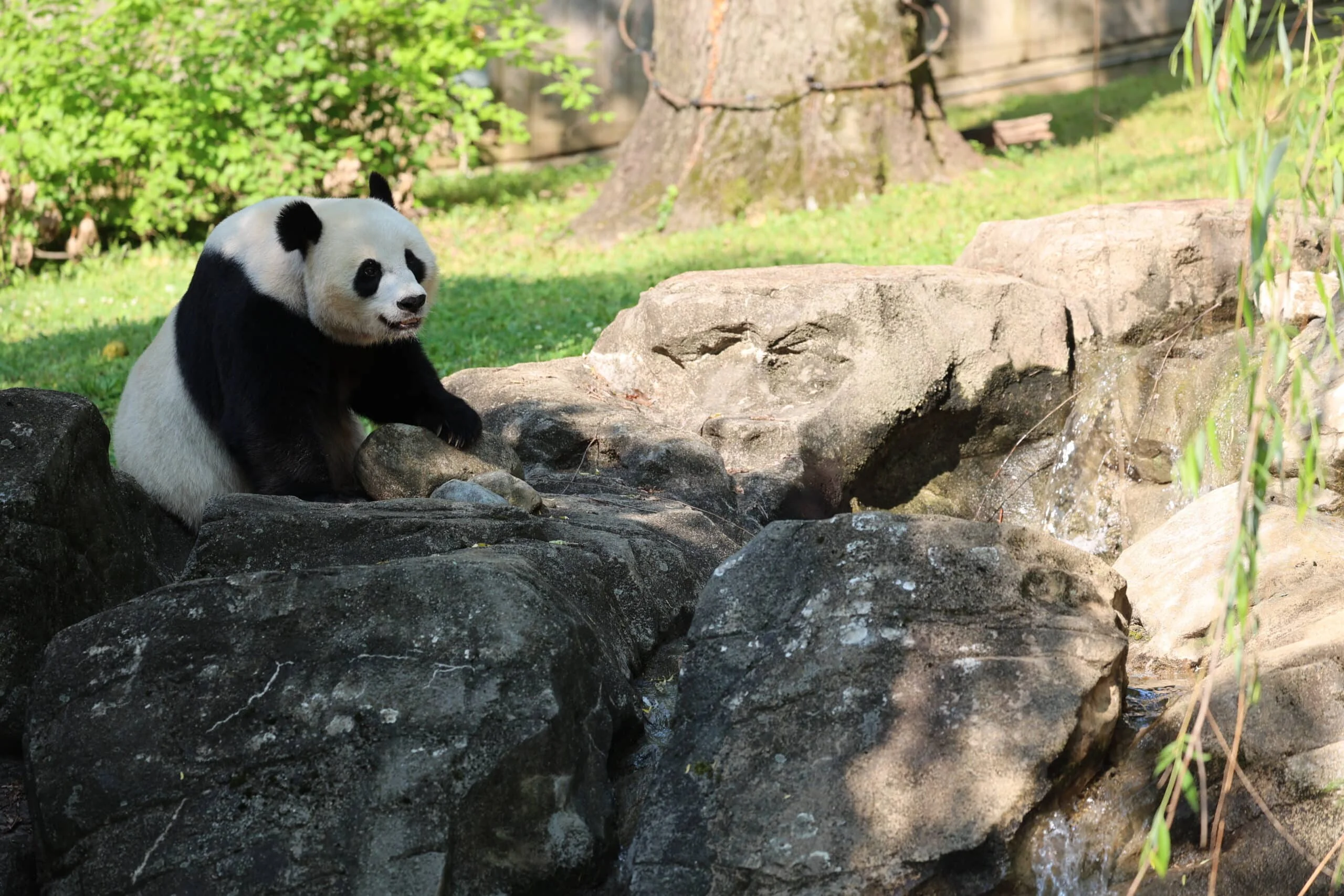 Smithsonian's National Zoo