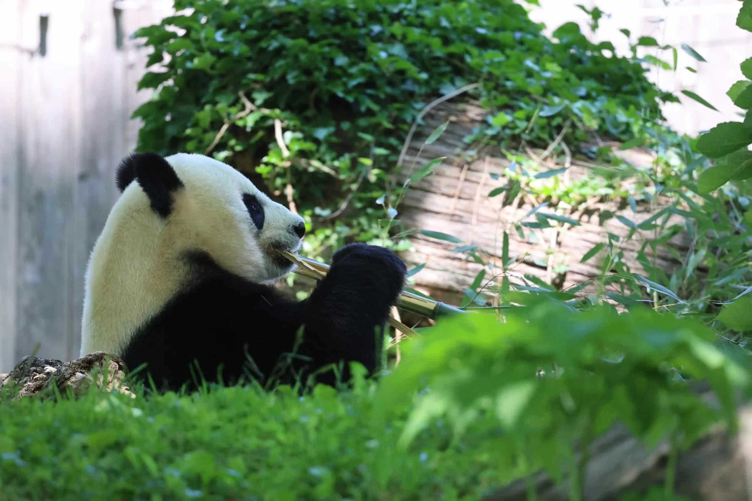 Smithsonian's National Zoo