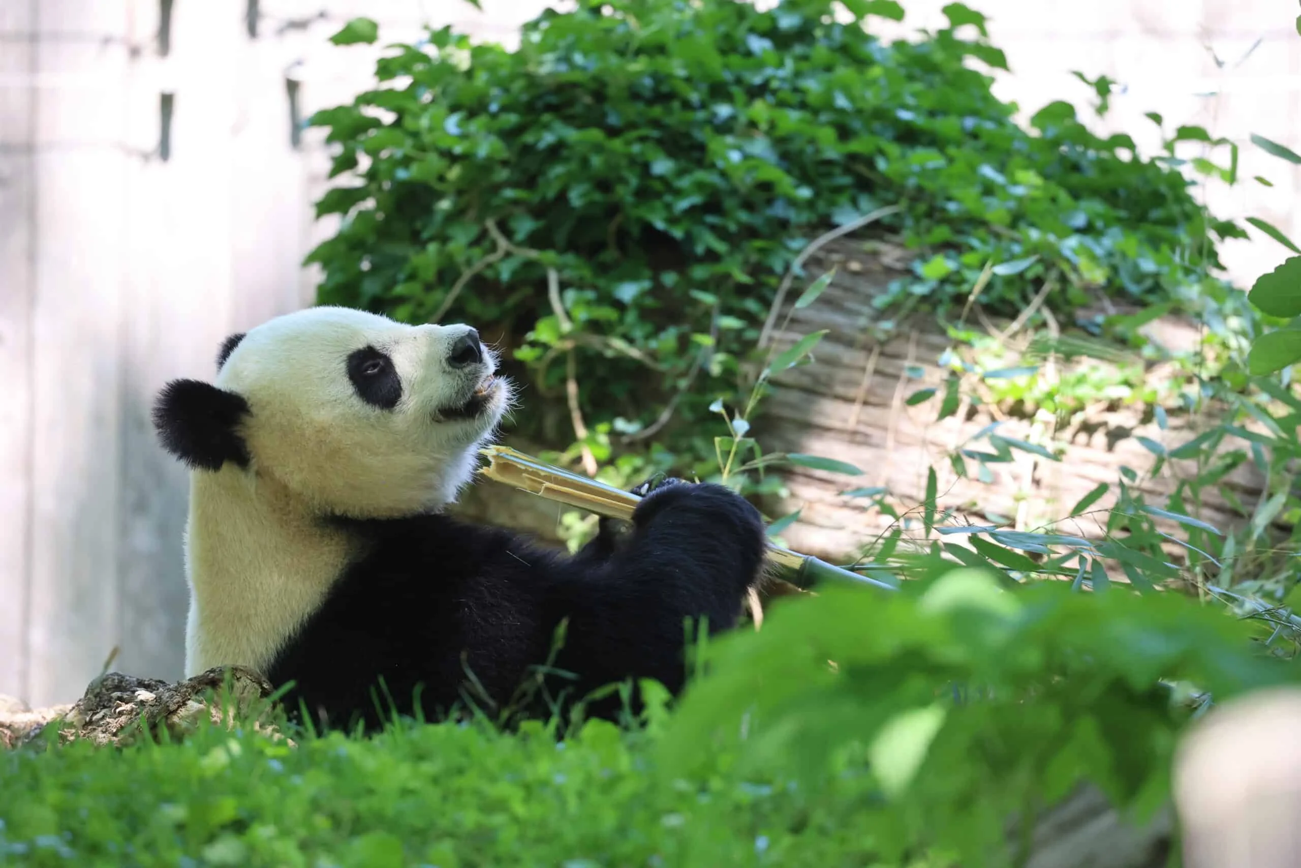 Smithsonian's National Zoo