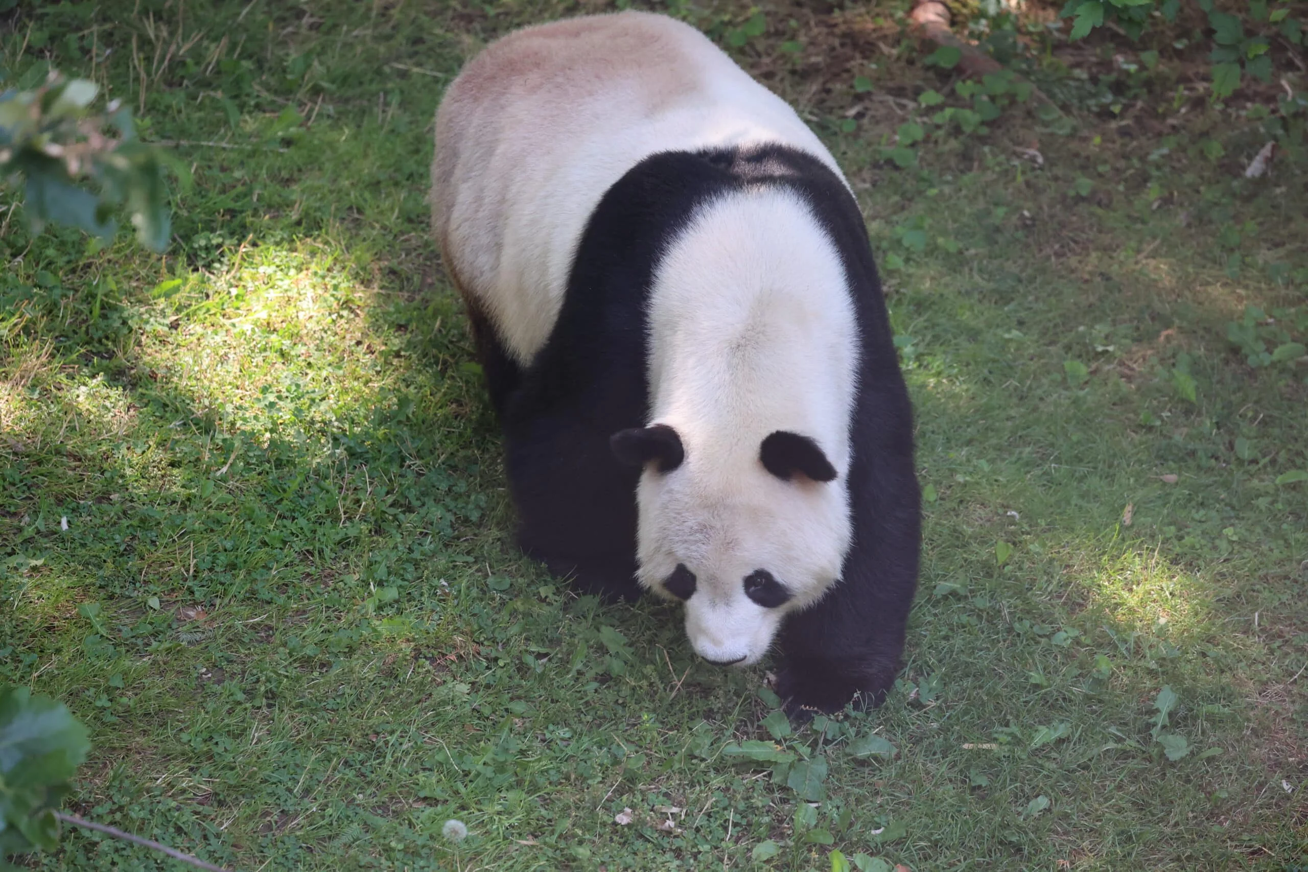 Smithsonian's National Zoo