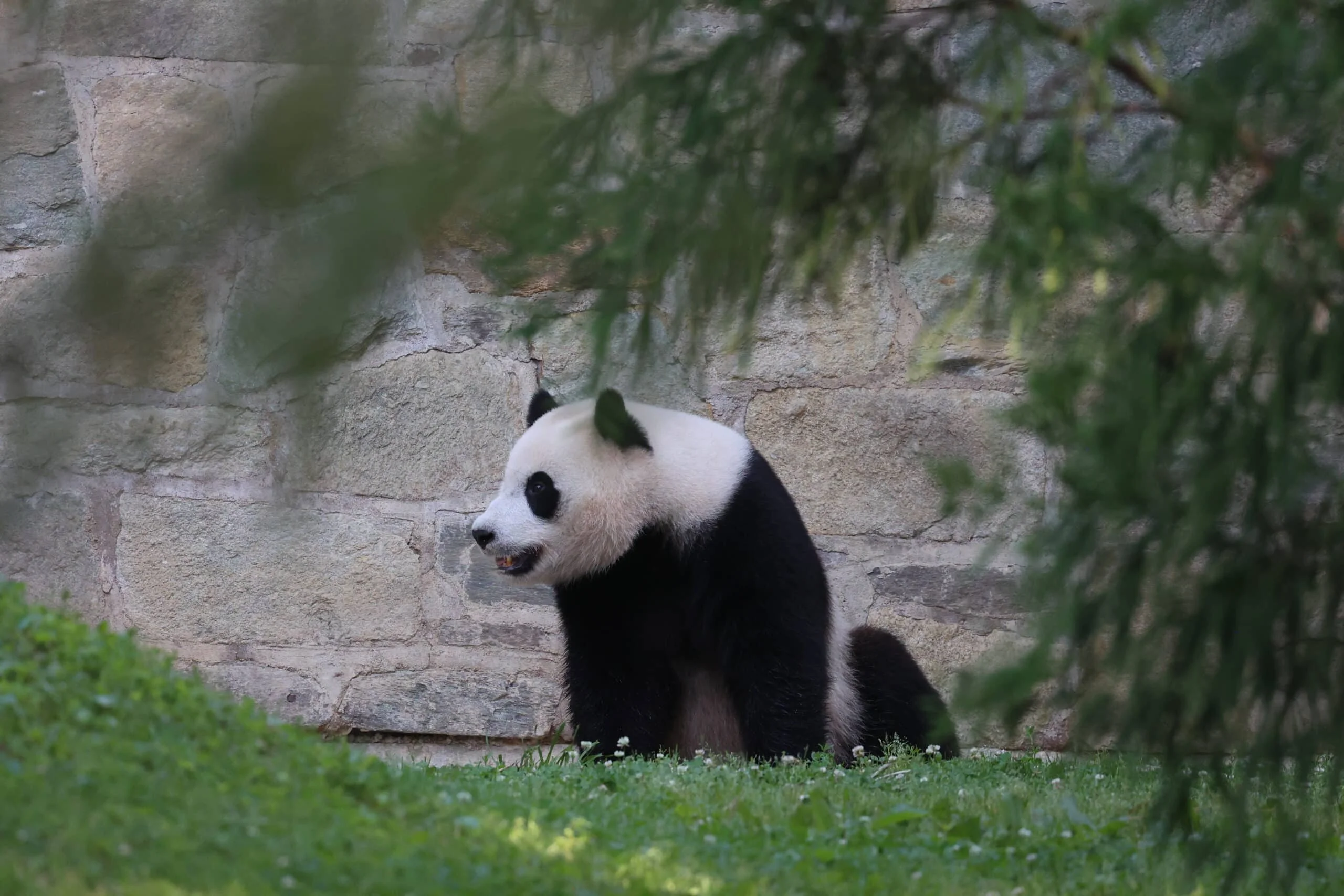 Smithsonian's National Zoo
